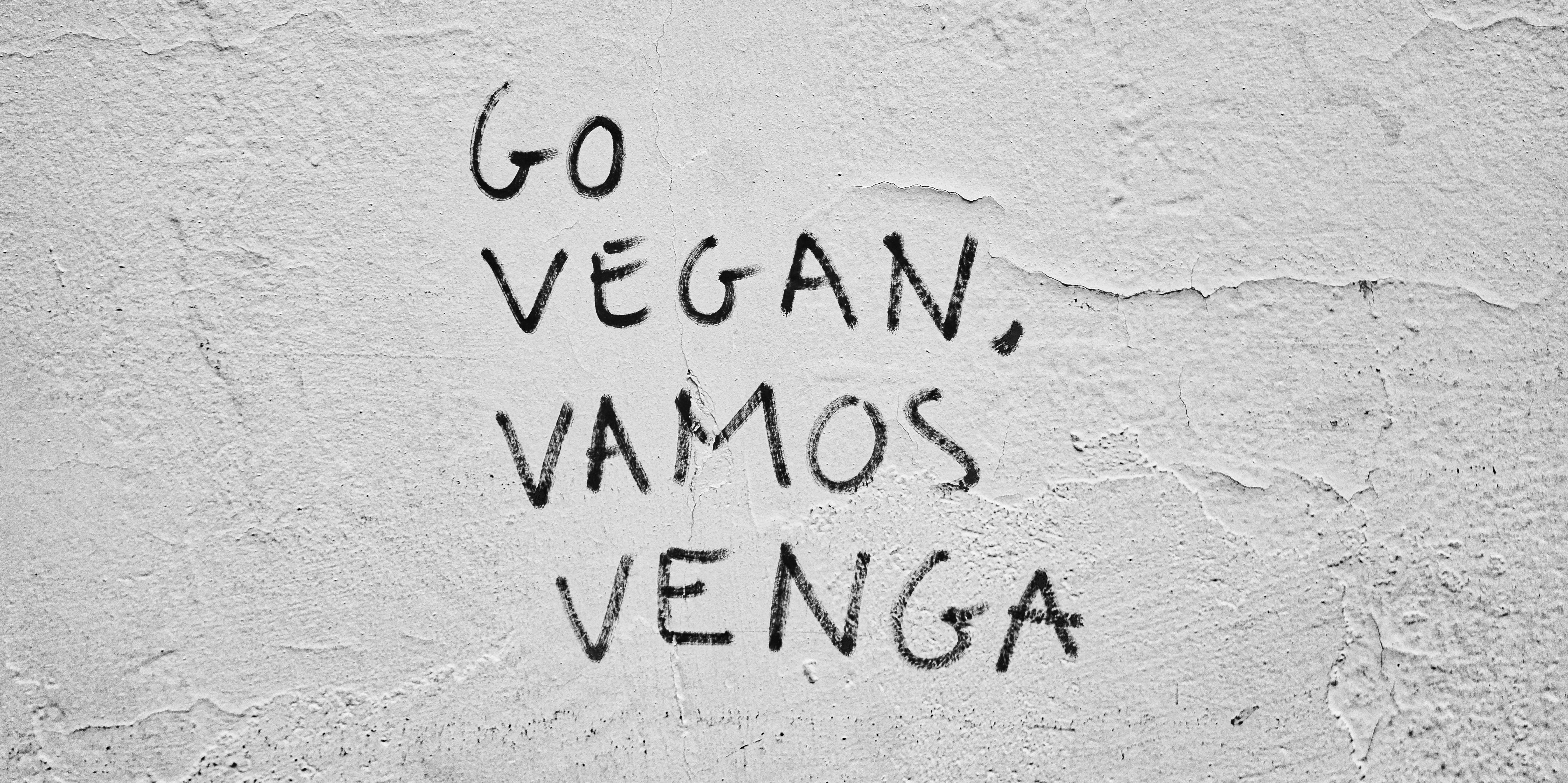 Go Vegan Phrase