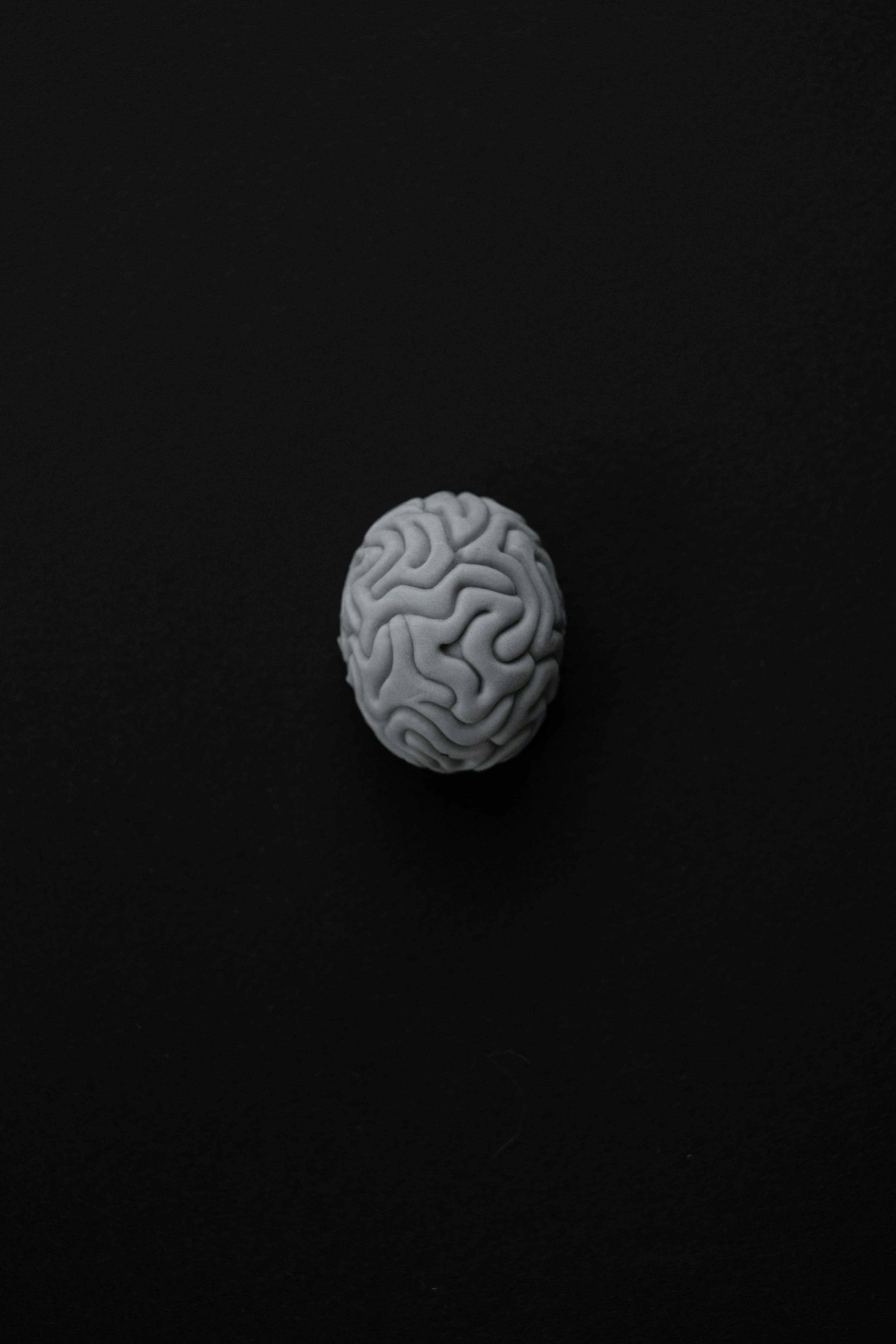 Monochrome Photo of a Brain