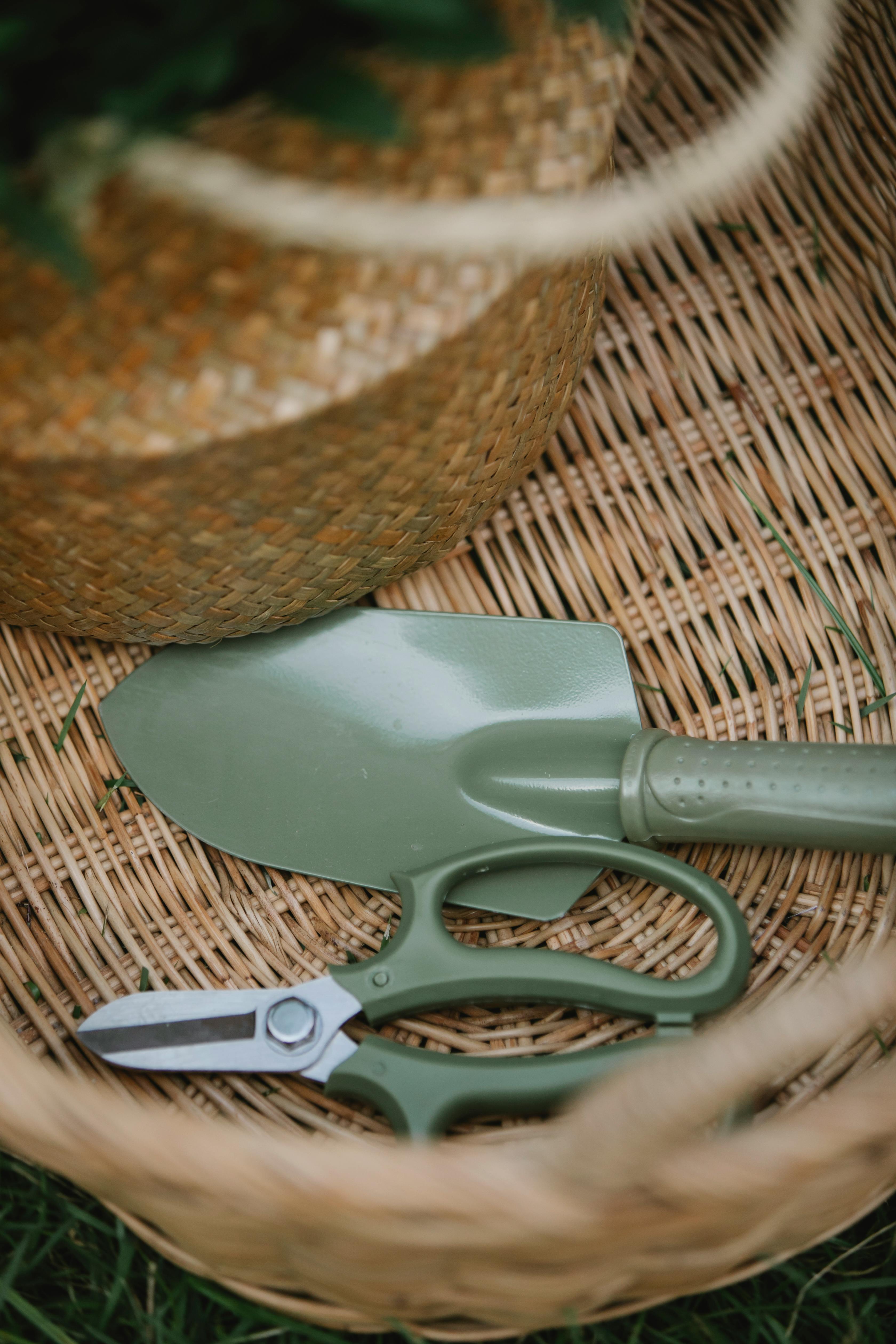 Baskets with garden tools and plants on grass