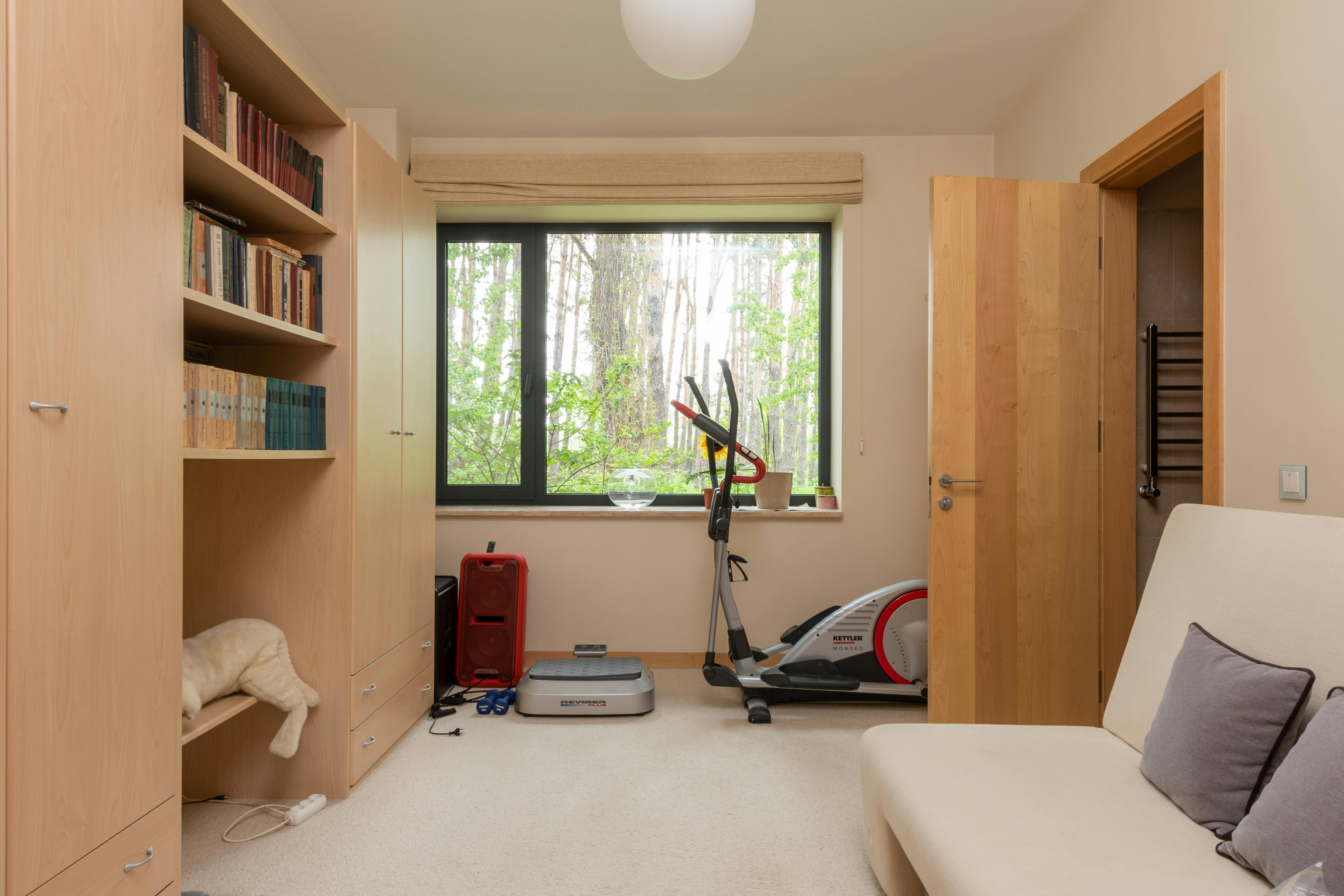 Modern interior with bookshelf and sofa with pillow