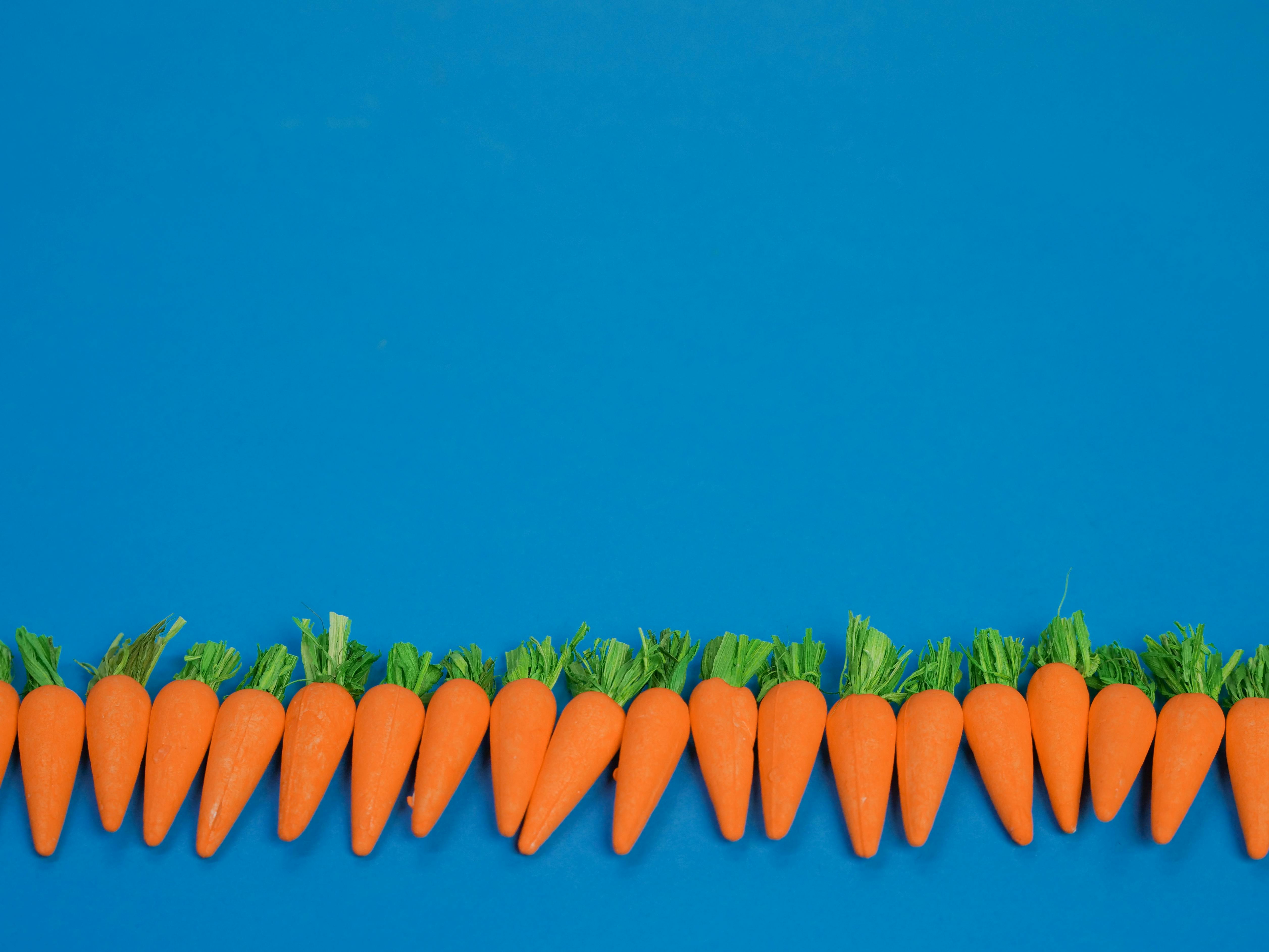 Carrots on a Blue Background