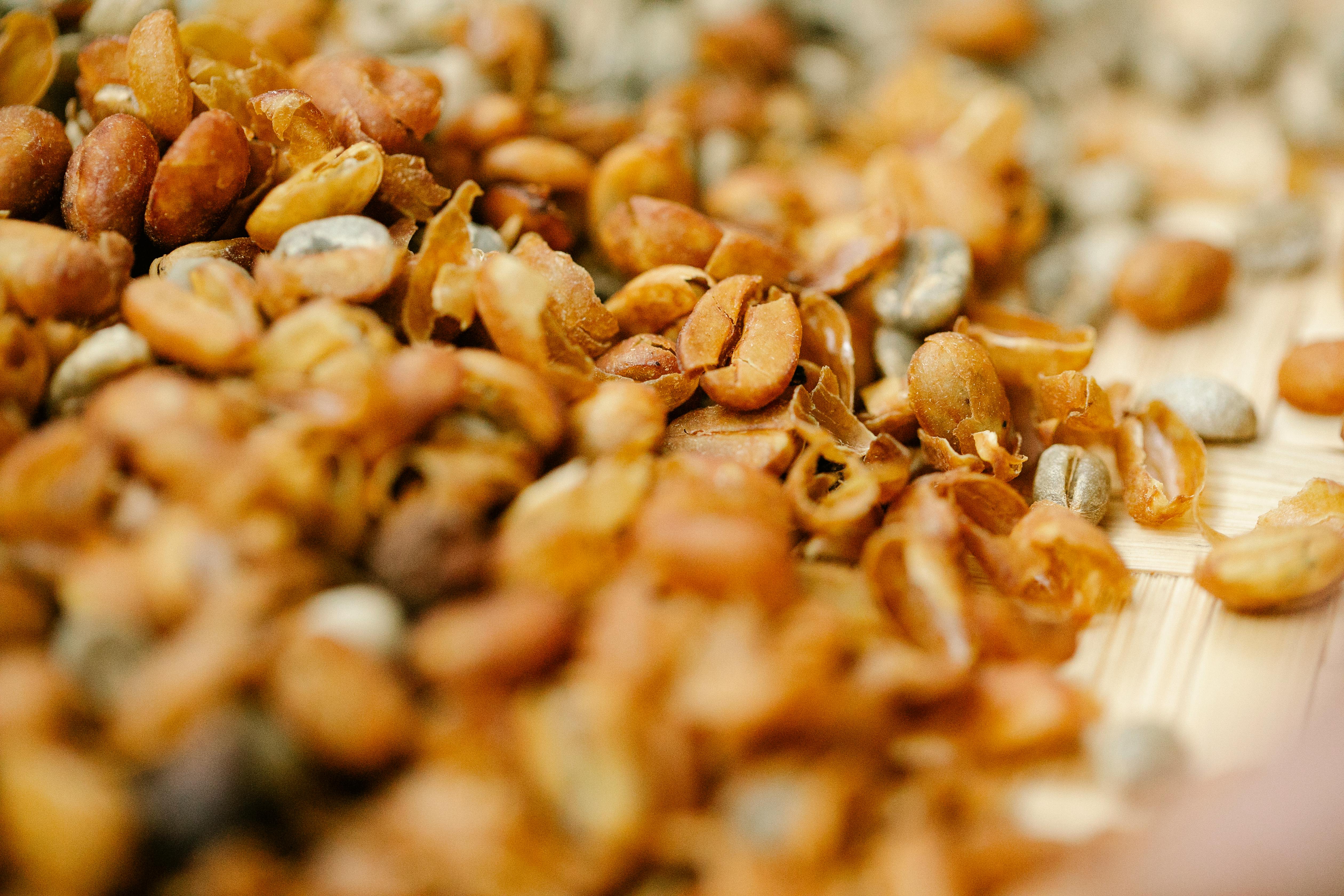 Closeup of pile of raw coffee bean halves with husk drying on bamboo surface in sunlight