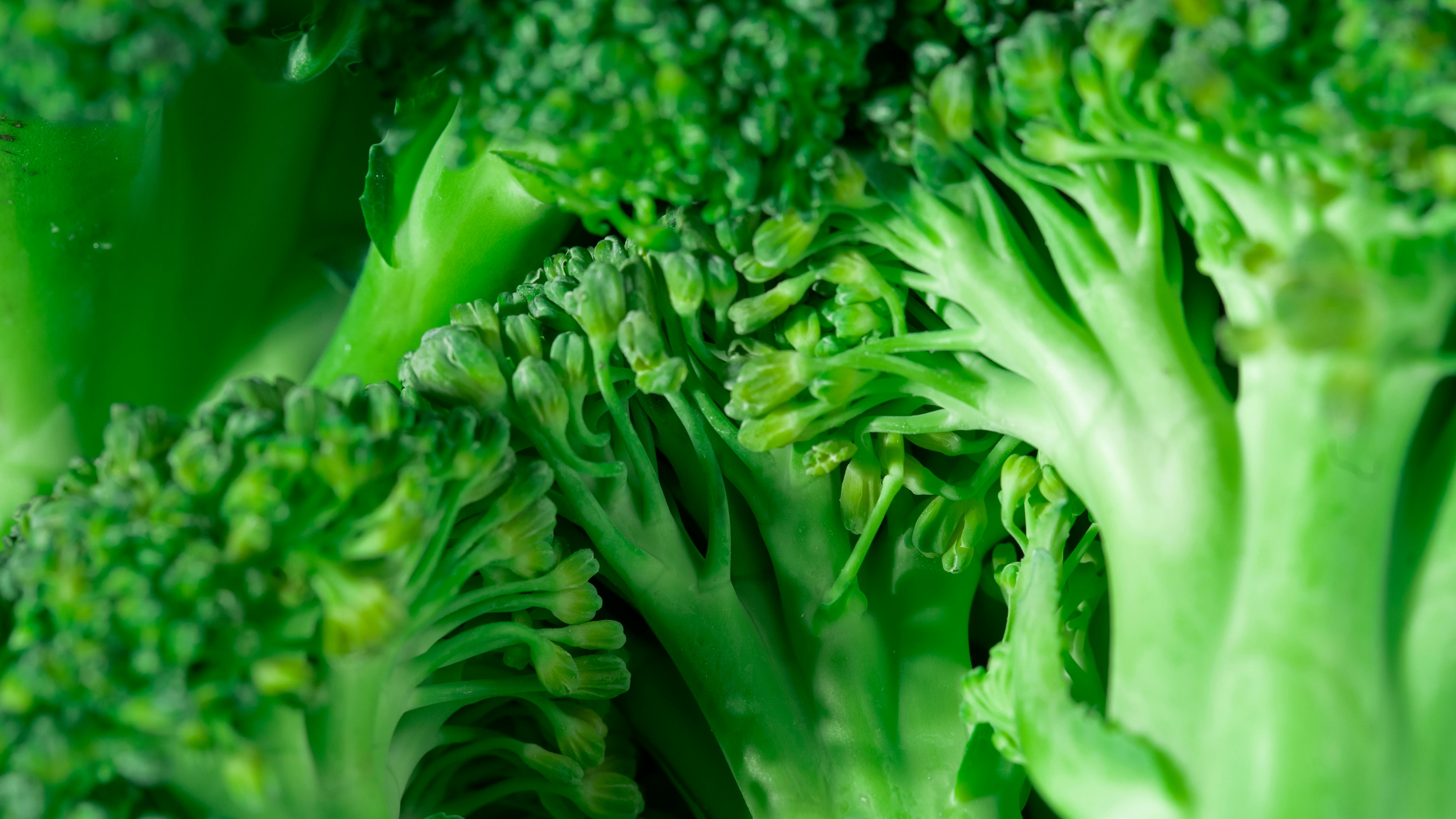 Green Broccoli in Close-Up Photography