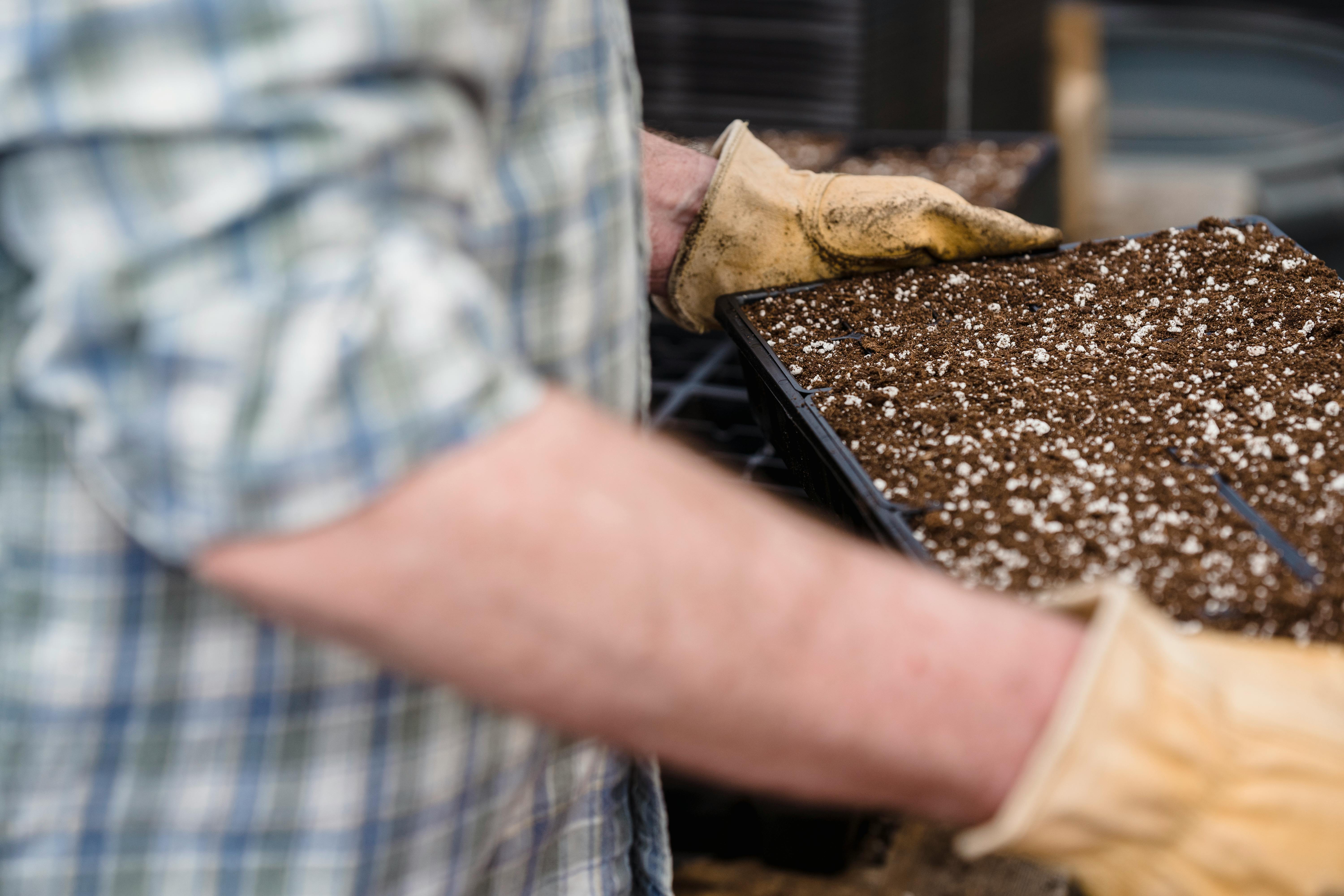 Crop unrecognizable gardener holding container with soil