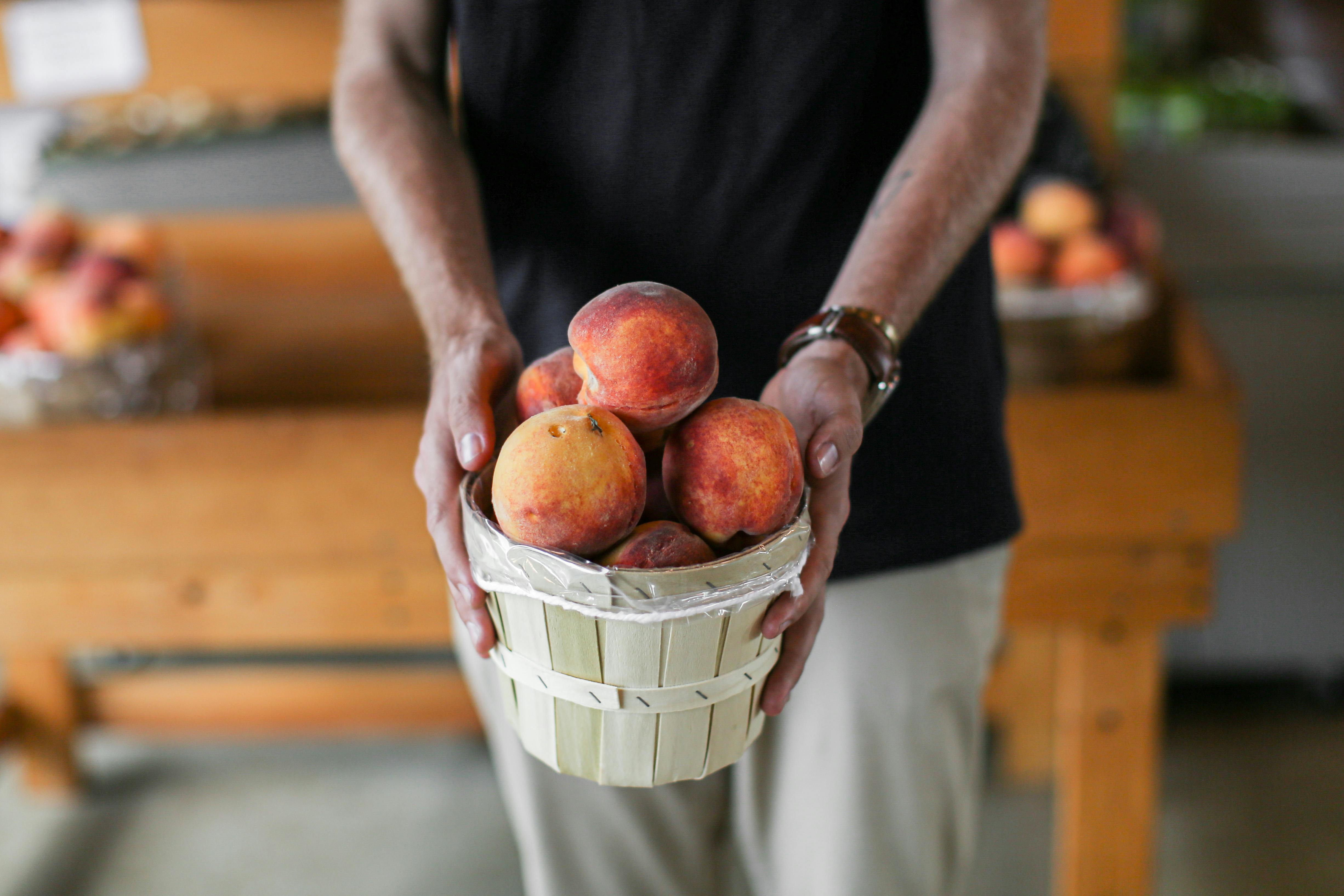 A Person Holding a Basket with Fresh Peaches