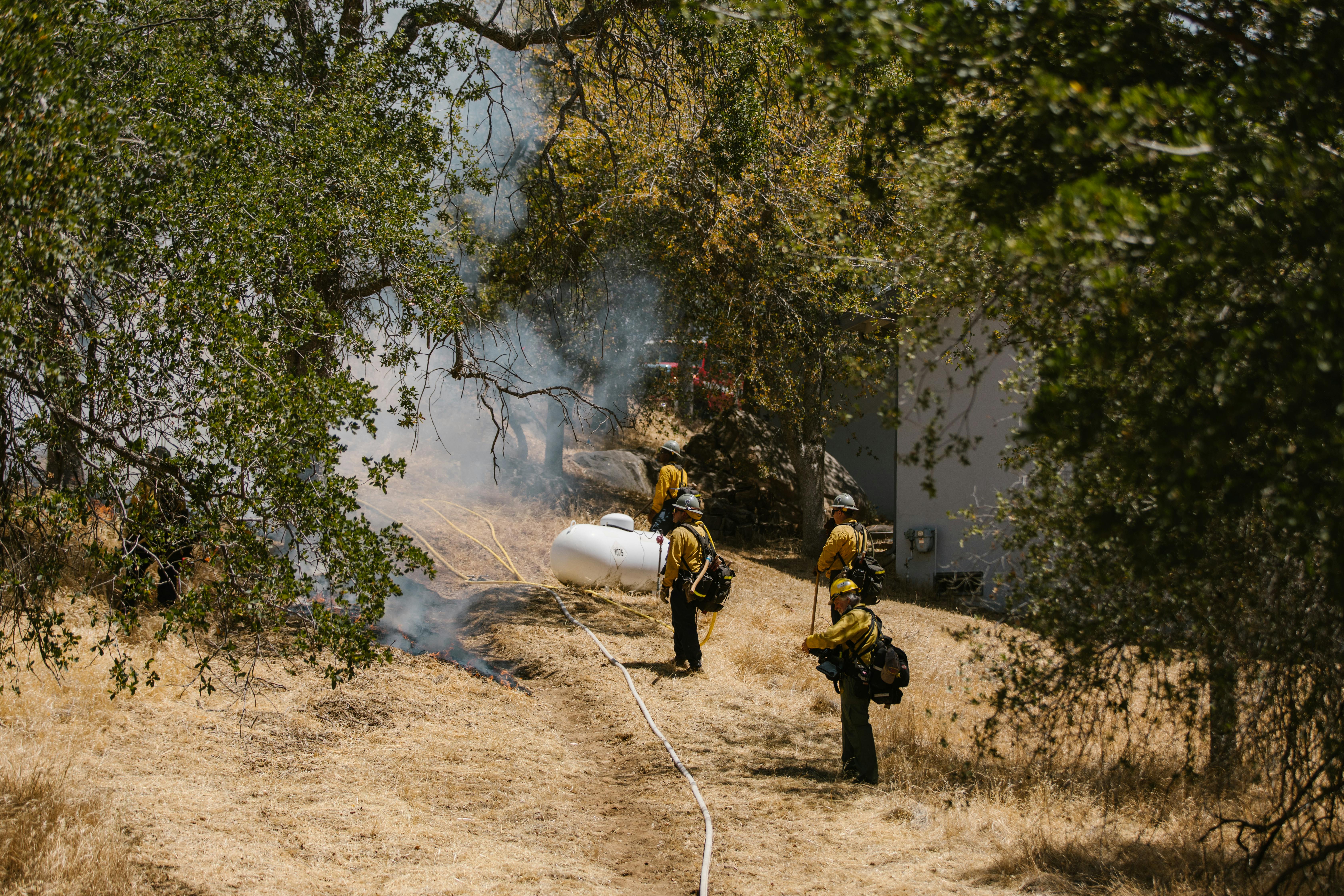 Firefighters on Brown Grass Field