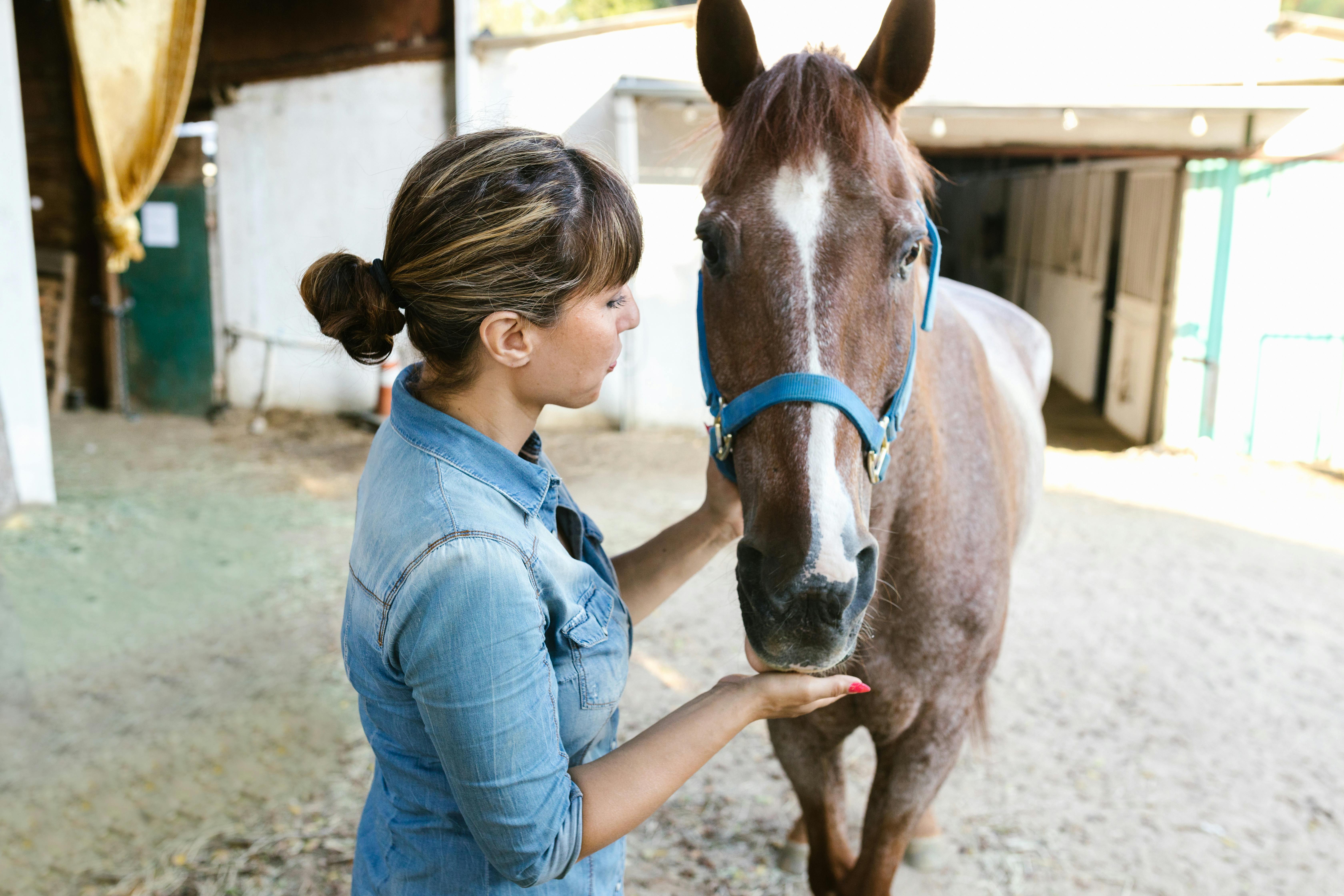 A Woman Holding a Brown Horse