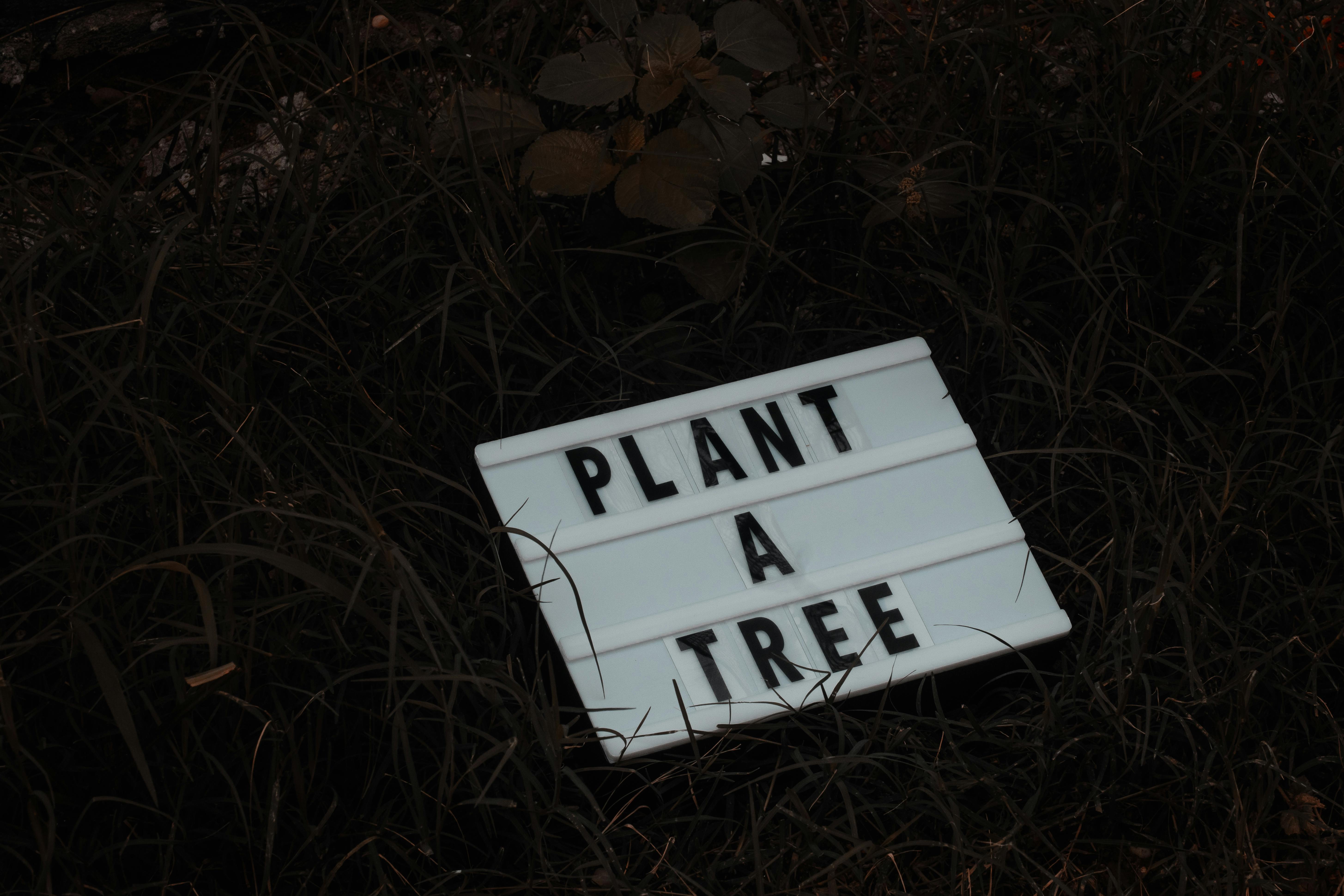 Plant a Tree Slogan on Grass