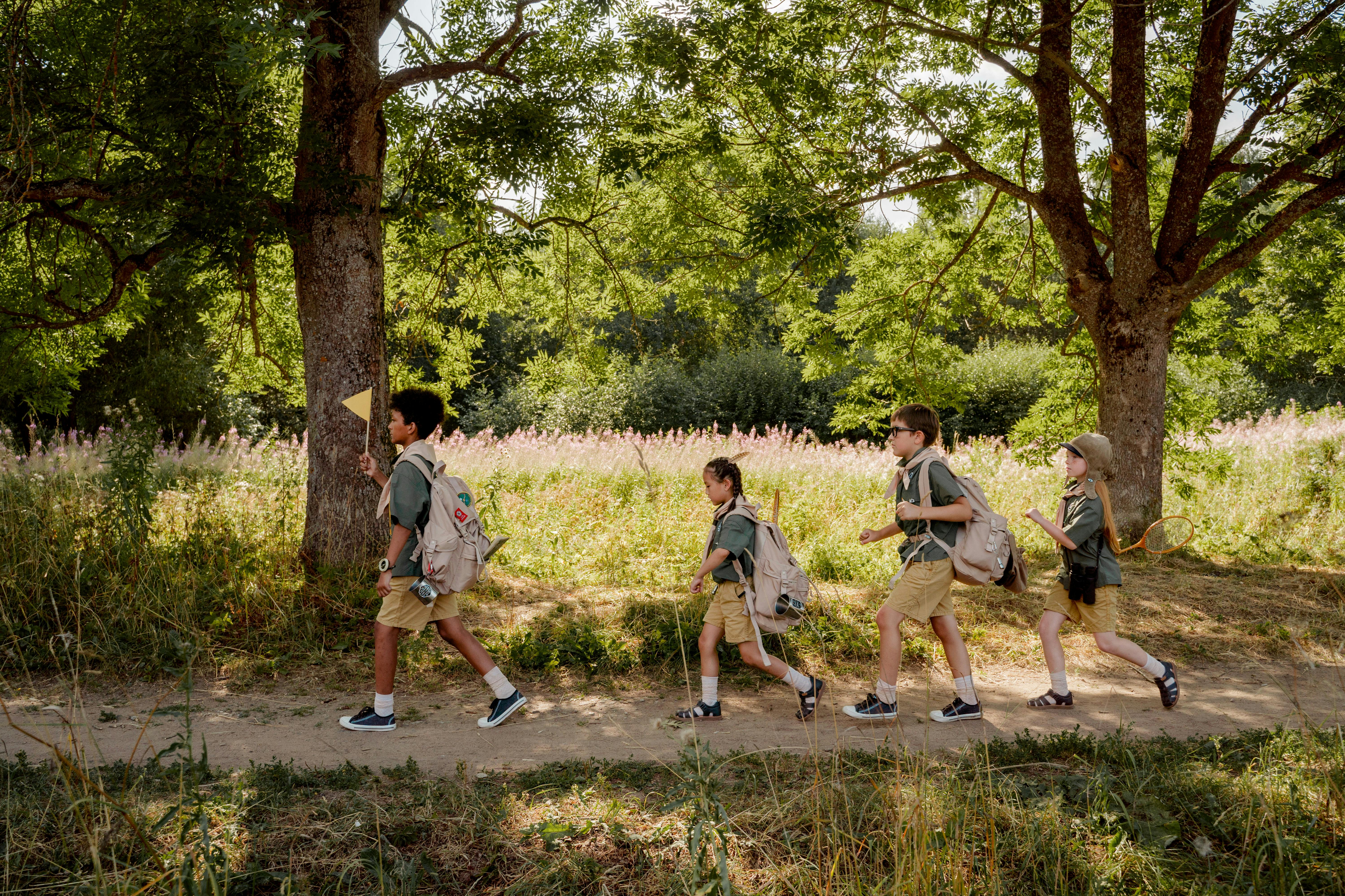 Scouts Walking along Trees