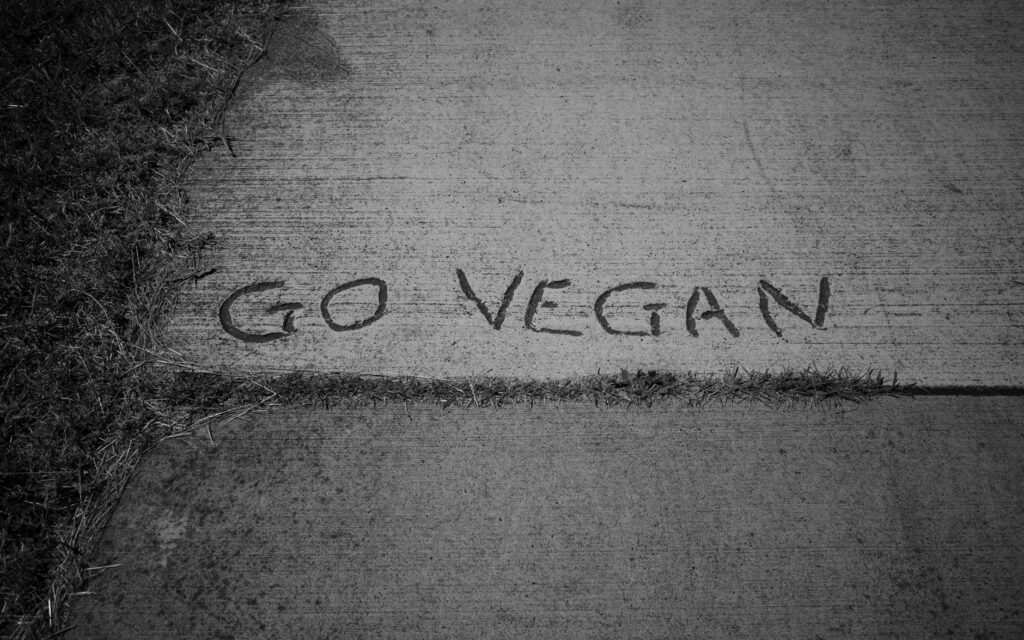 Plant-Based Products Slogan Ideas