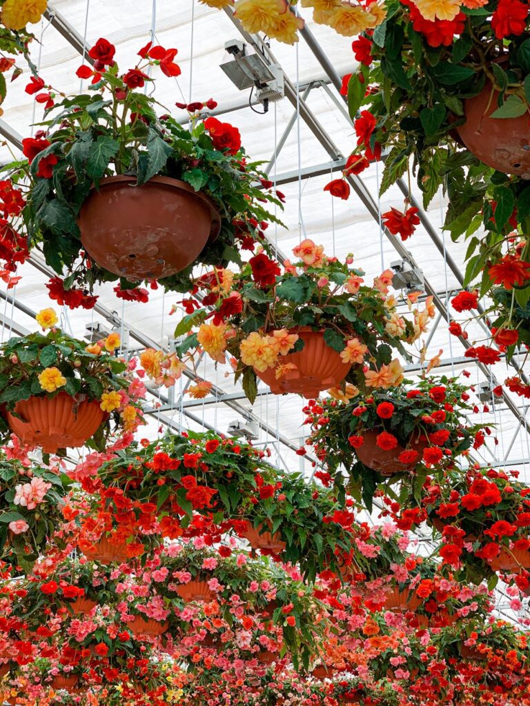 Plant Nursery Slogan Ideas