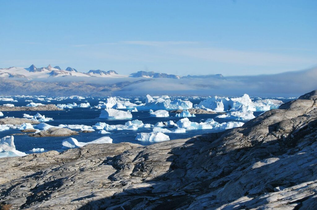 Polar Studies Slogan Ideas