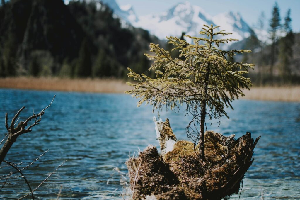 Remote Therapy Slogan Ideas