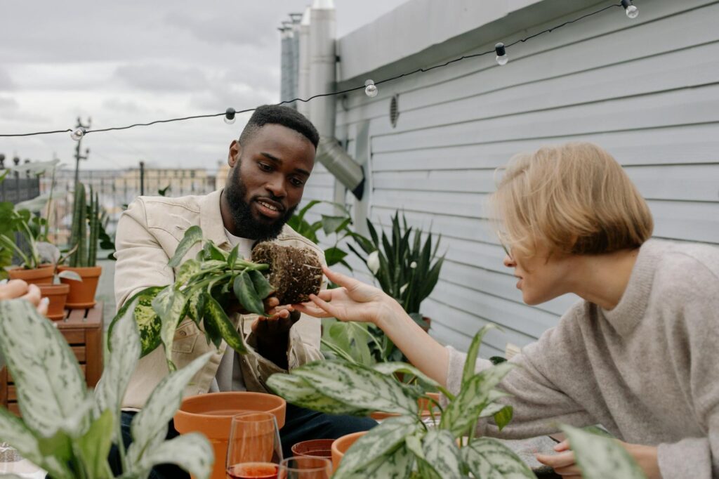 Rooftop Gardening Slogan Ideas