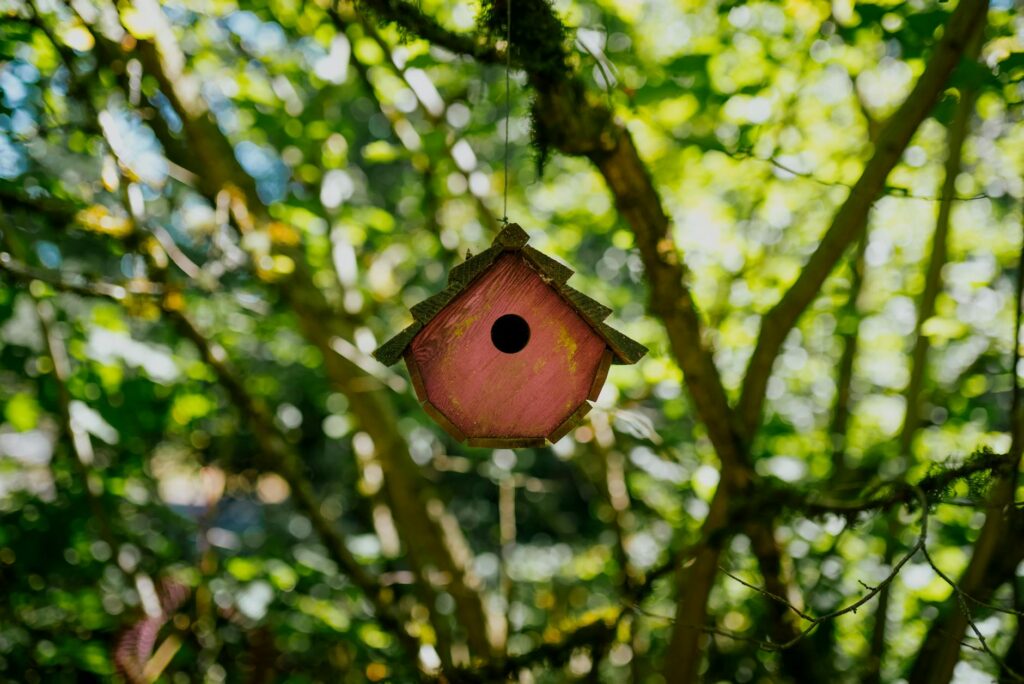 Sustainable Gardening Solutions Slogan Ideas