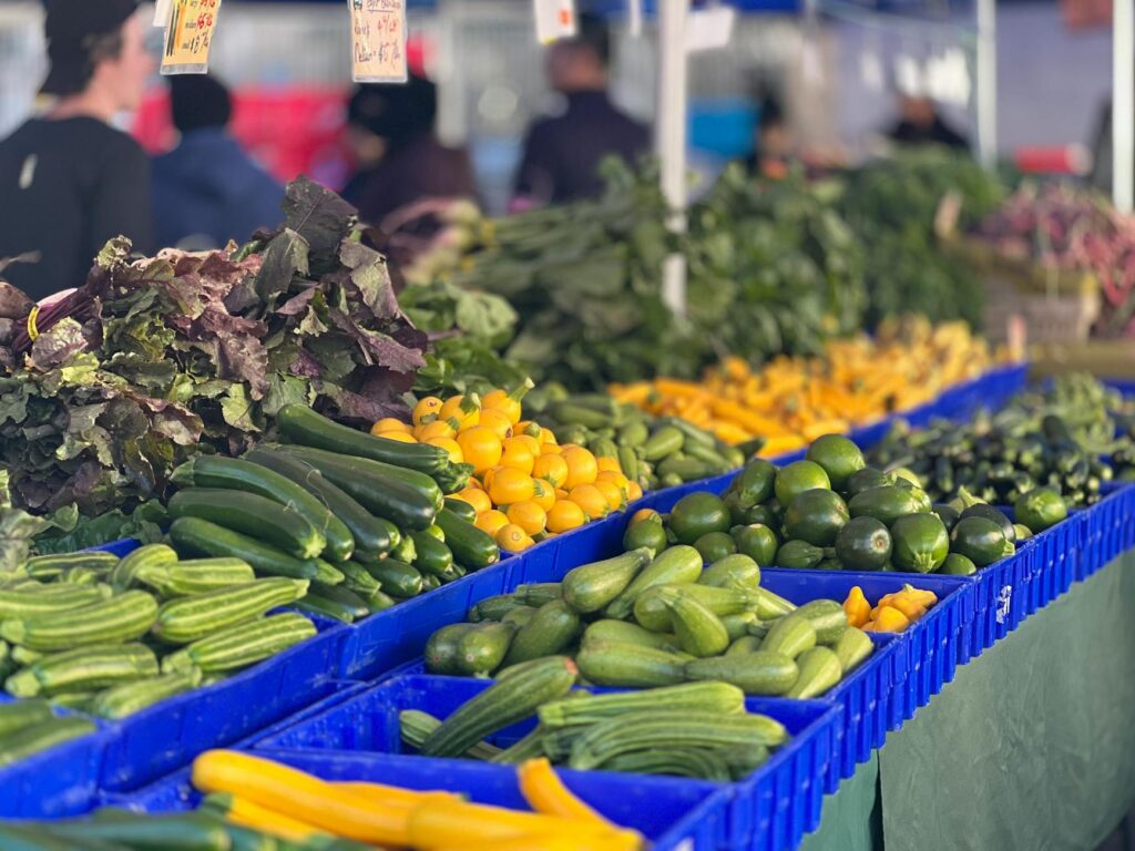 Urban Farming Slogan Ideas