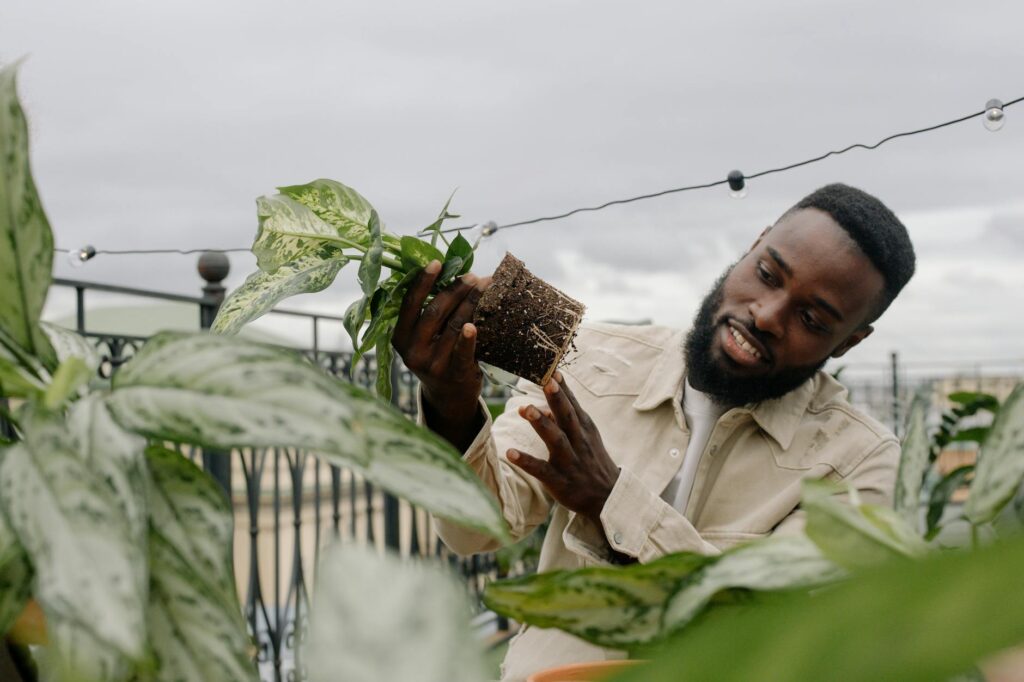 Urban Rooftop Gardening Slogan Ideas