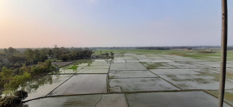 Webhook Development Slogan Ideas