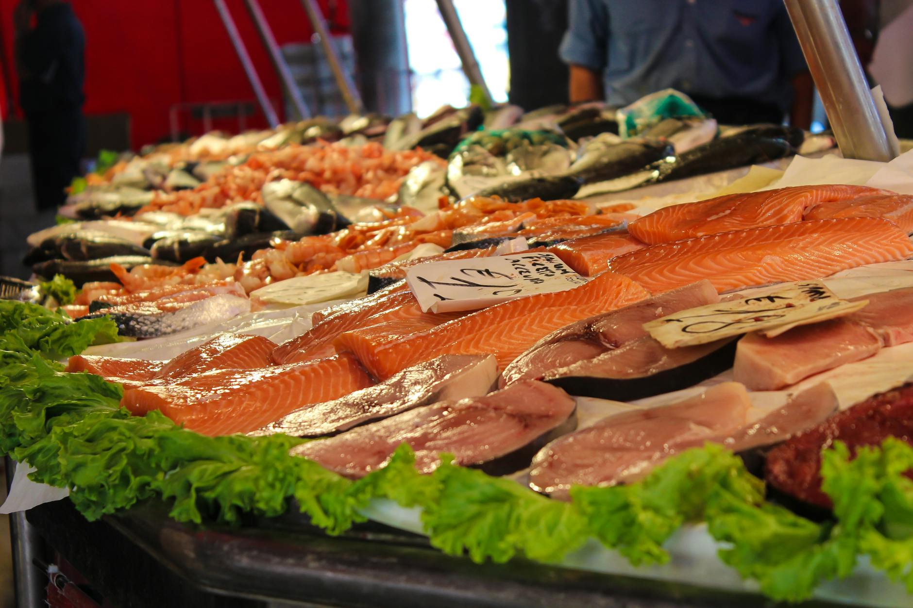 Fish Fillet on Table