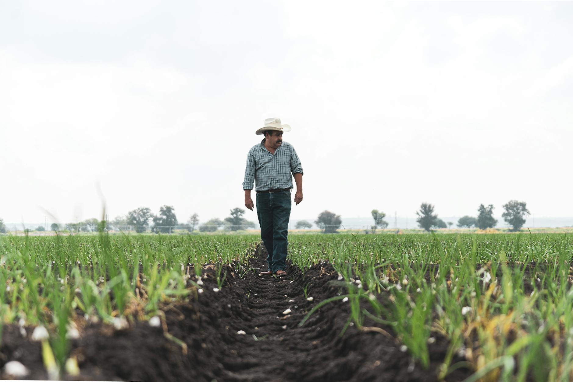 A Male Farmer Standing on His Field