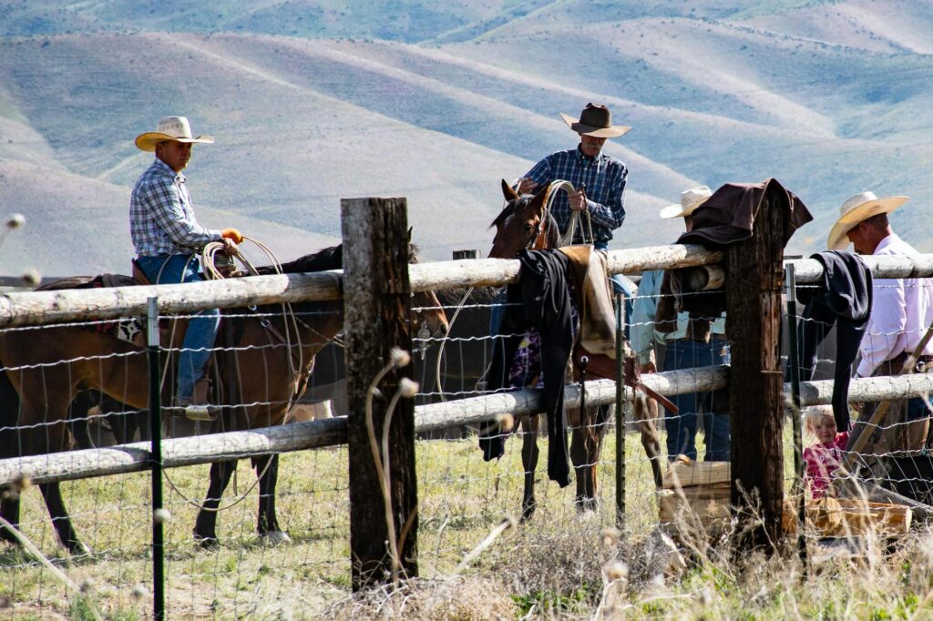 Agricultural Fence Business Ideas to Start in 2024