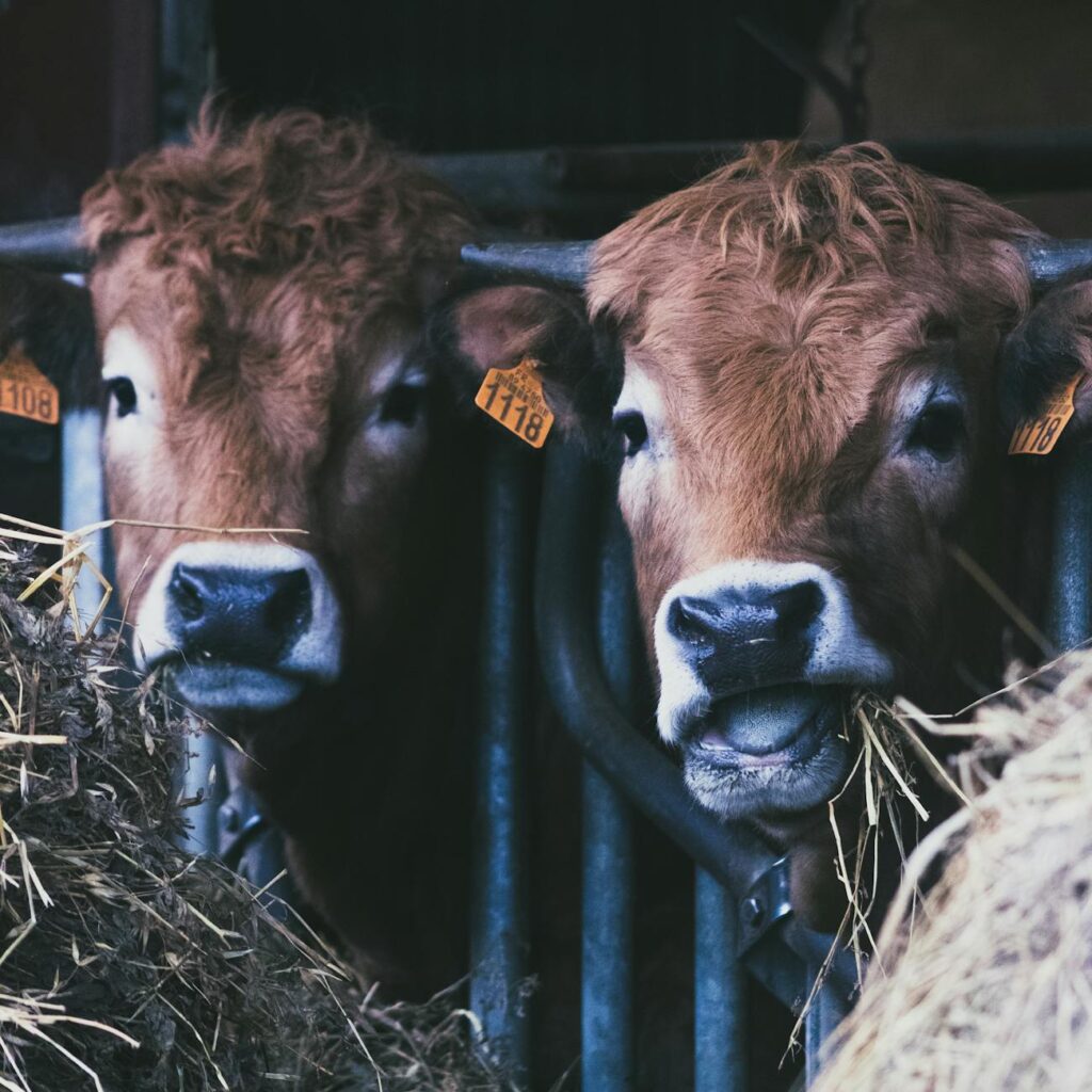 Agricultural Chemical App Name Ideas