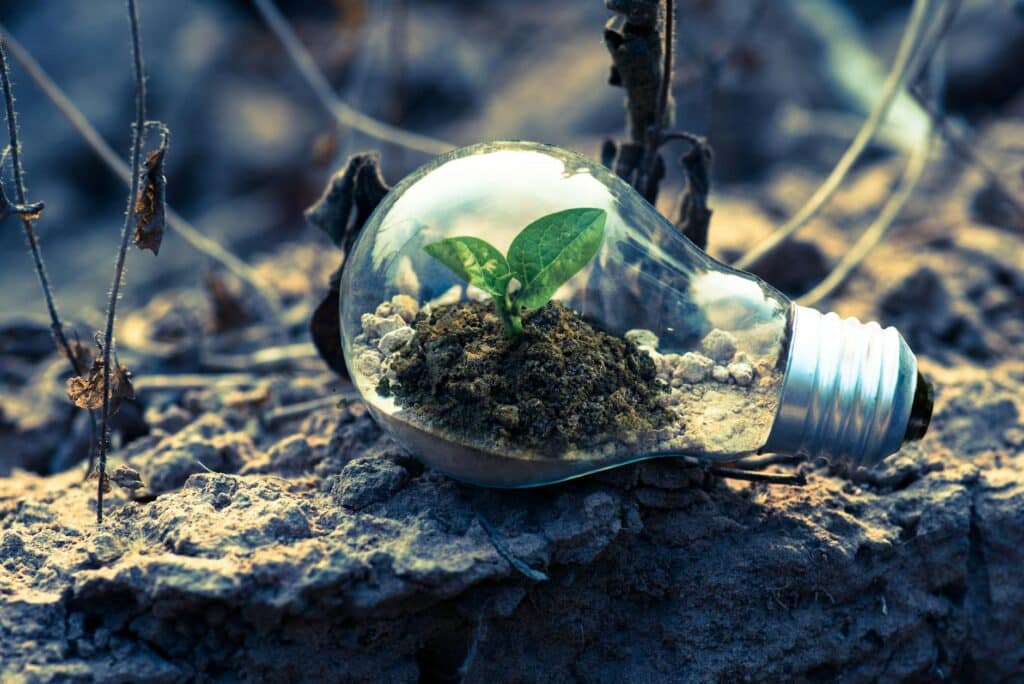 Accessory Recycling Business Ideas to Start in 2024