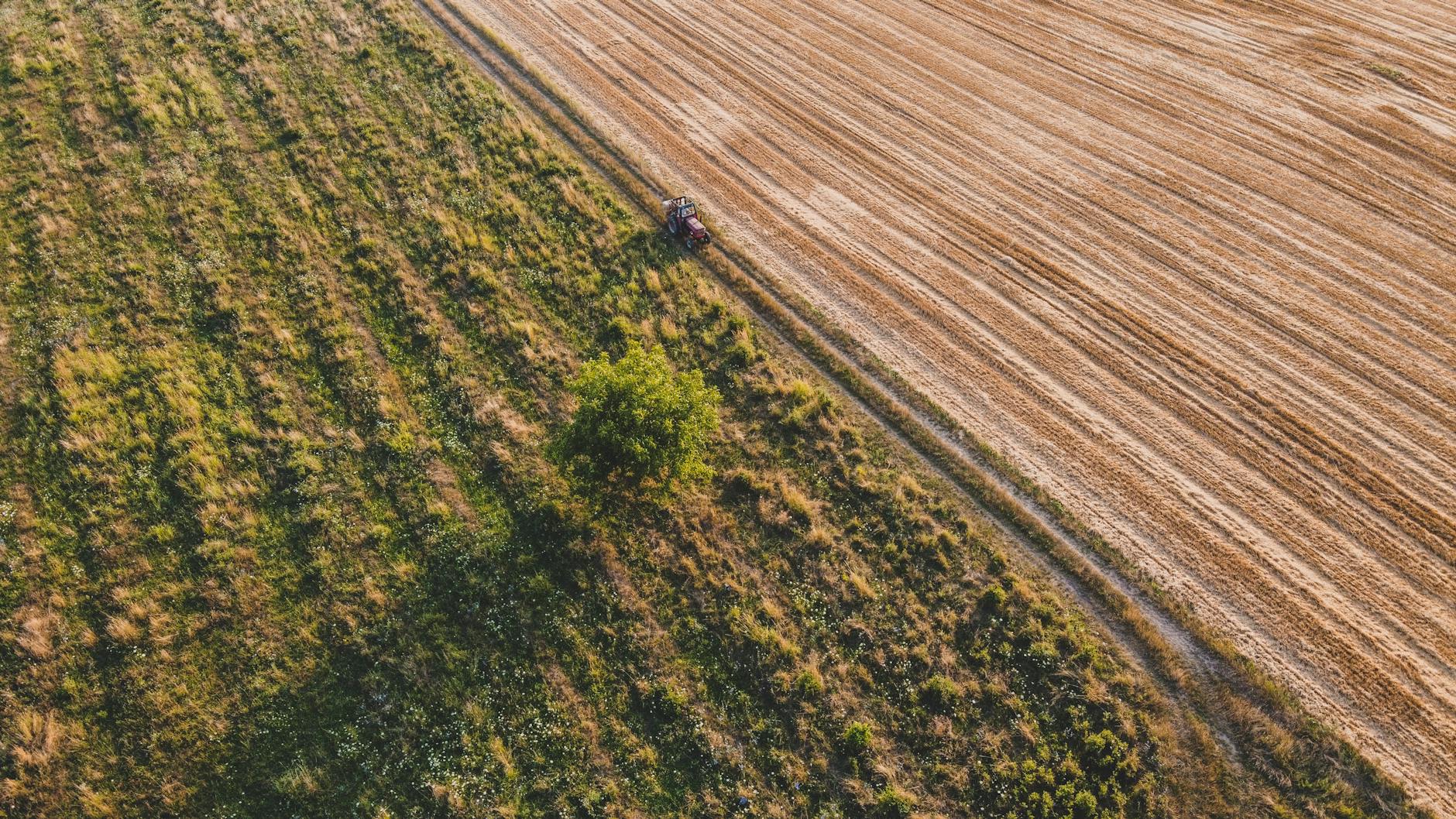 Person in Black Jacket Walking on Brown Field