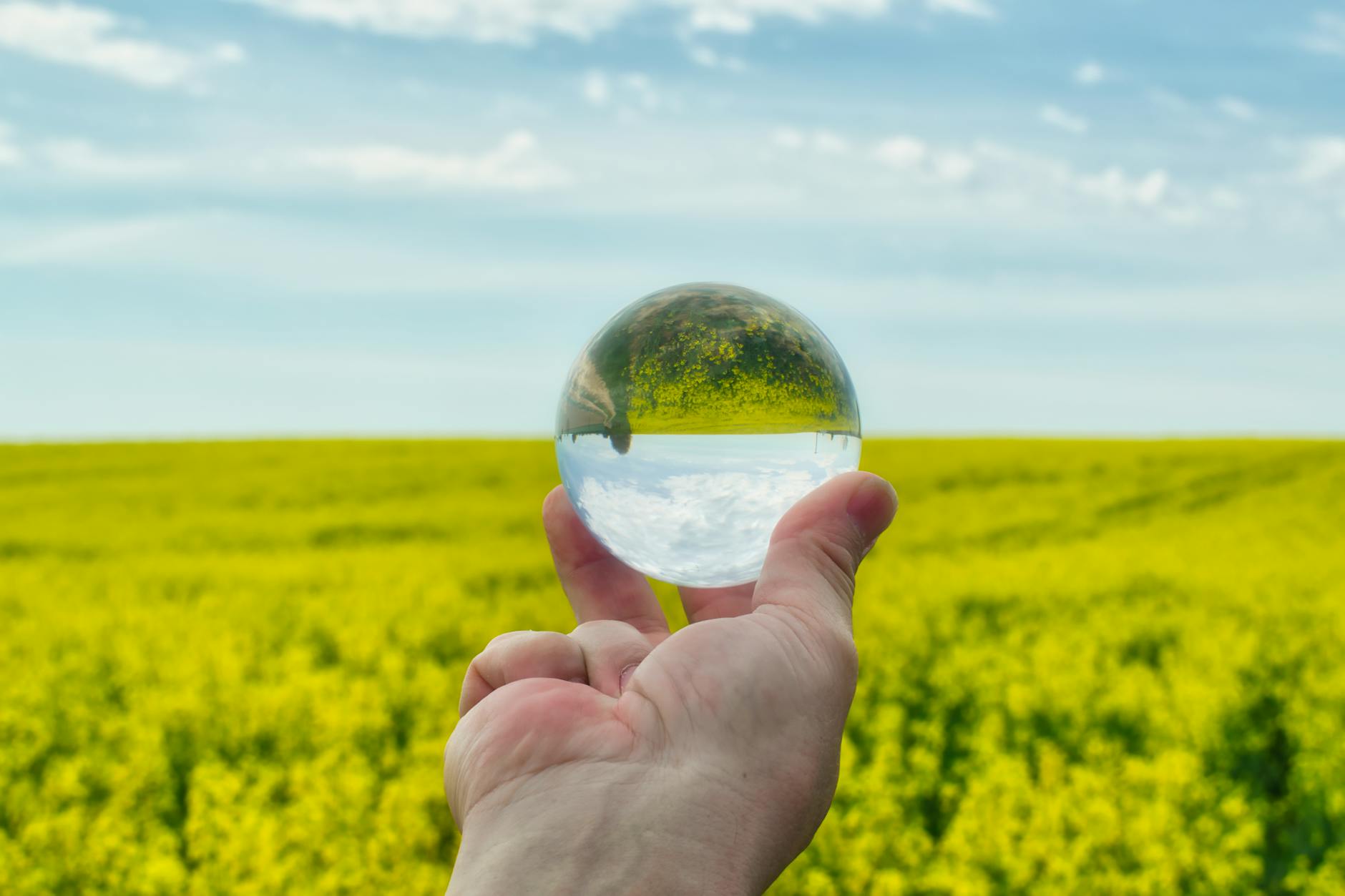 Person Holding Clear Glass Ball