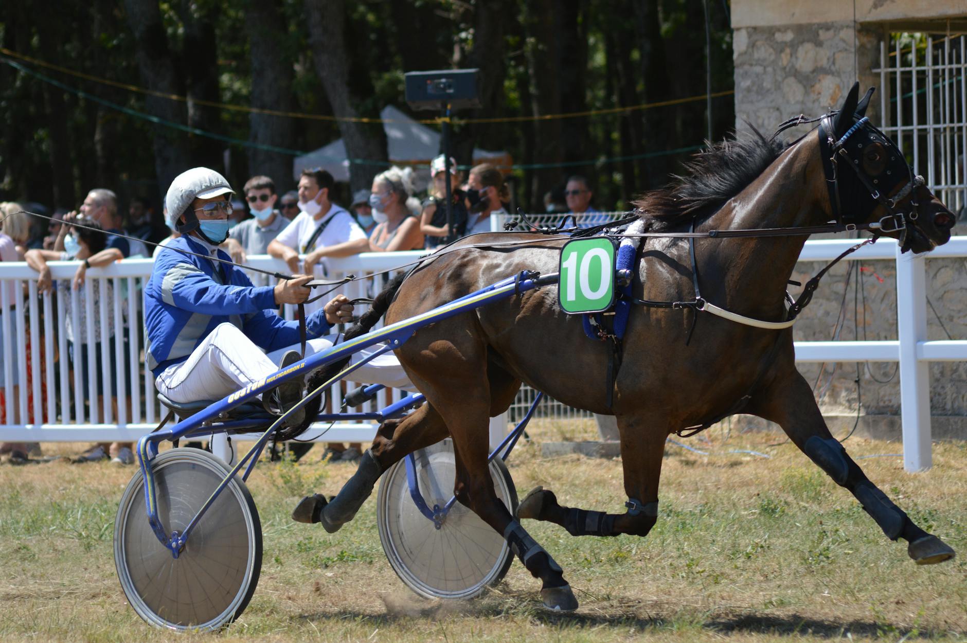 Man in a Harness Racing Competition