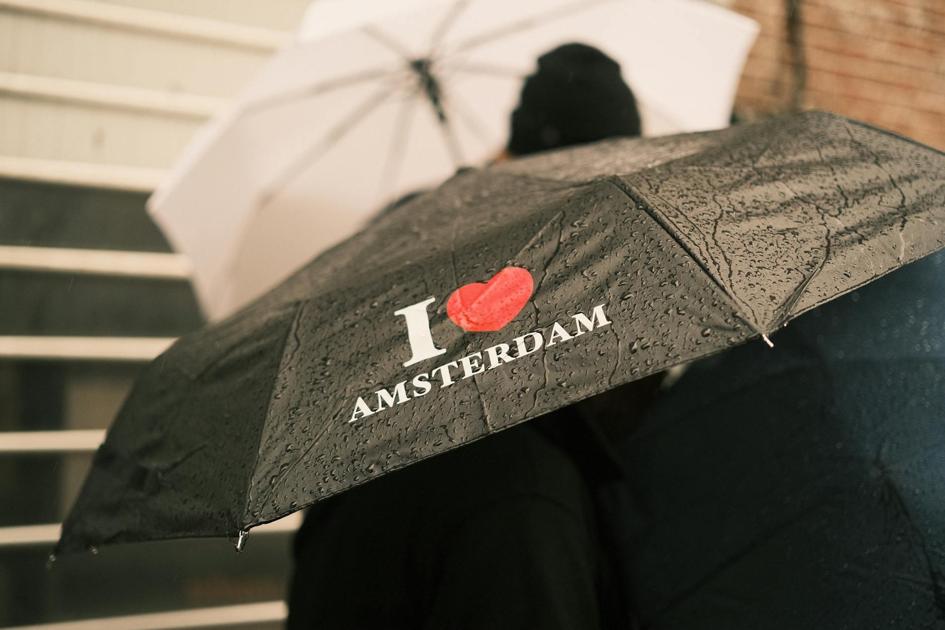 Close-up of People Walking in City under Umbrellas