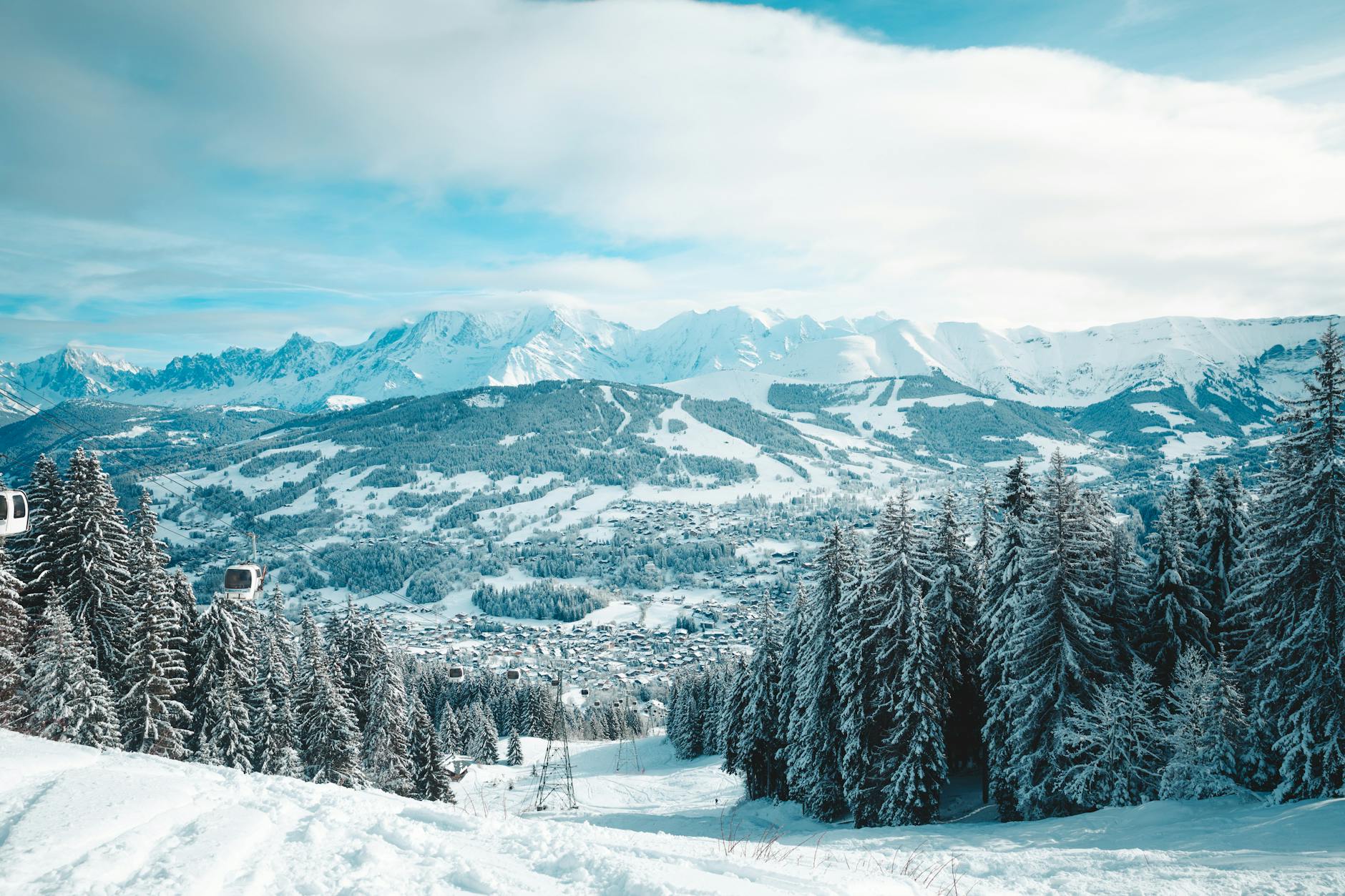 A snowy mountain with trees and snow covered ground