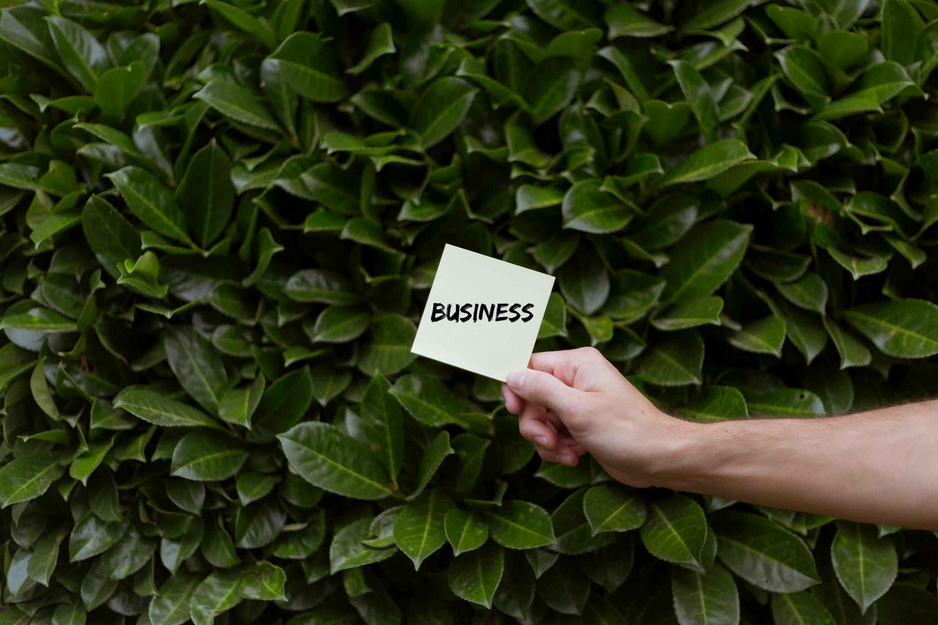 A Person Holding a Piece of Paper with a Text against a Shrub