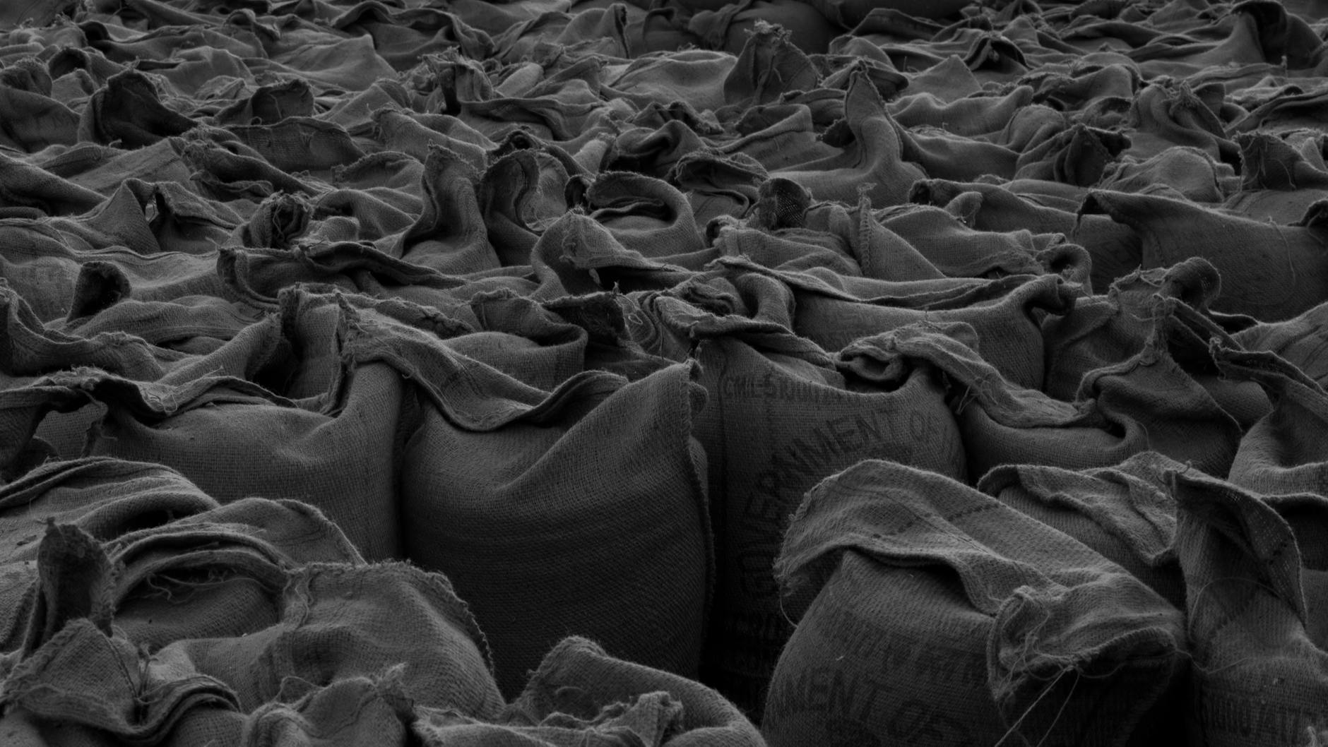 Black and White Shot of Bags of Wheat