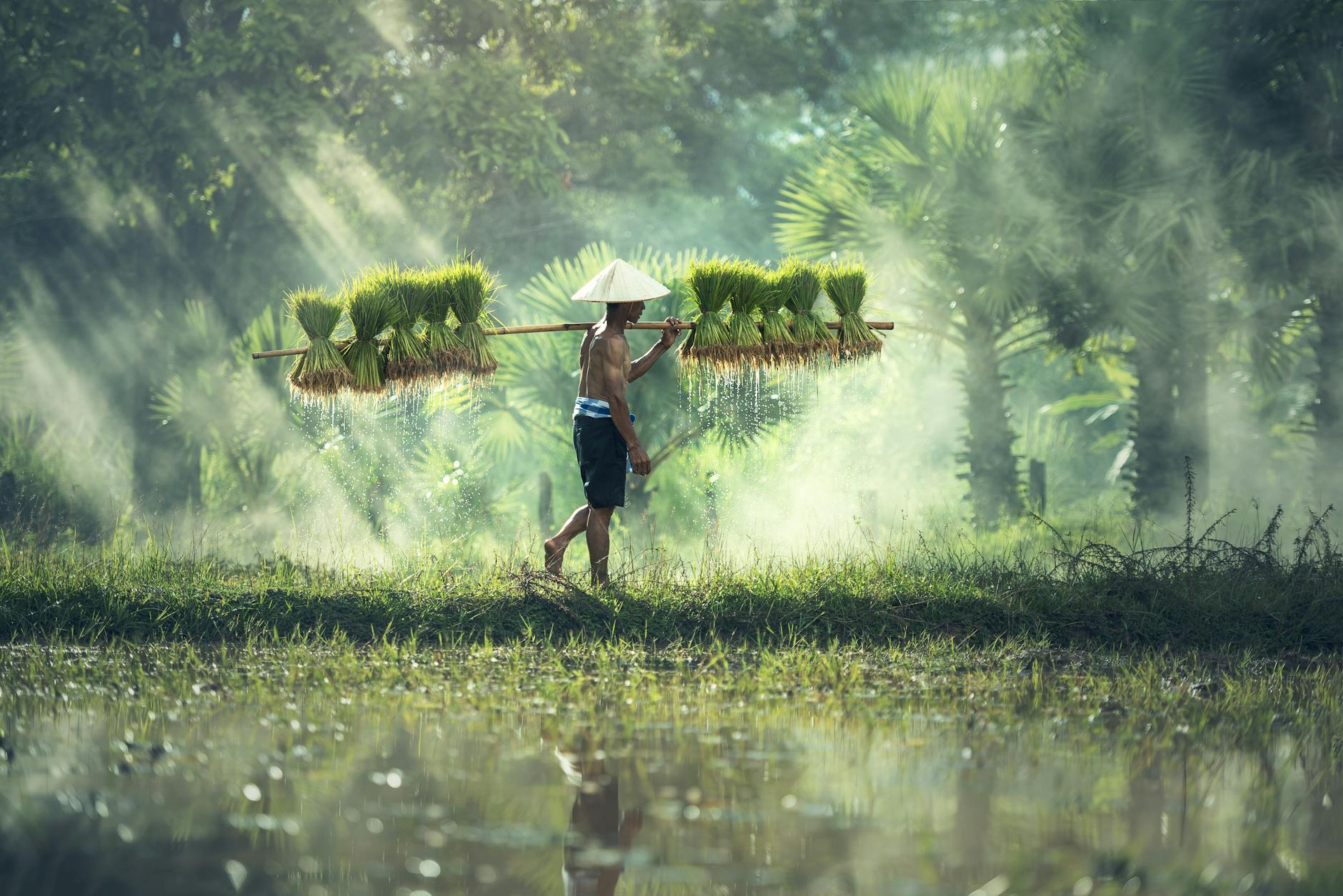 Innovative Farming Techniques