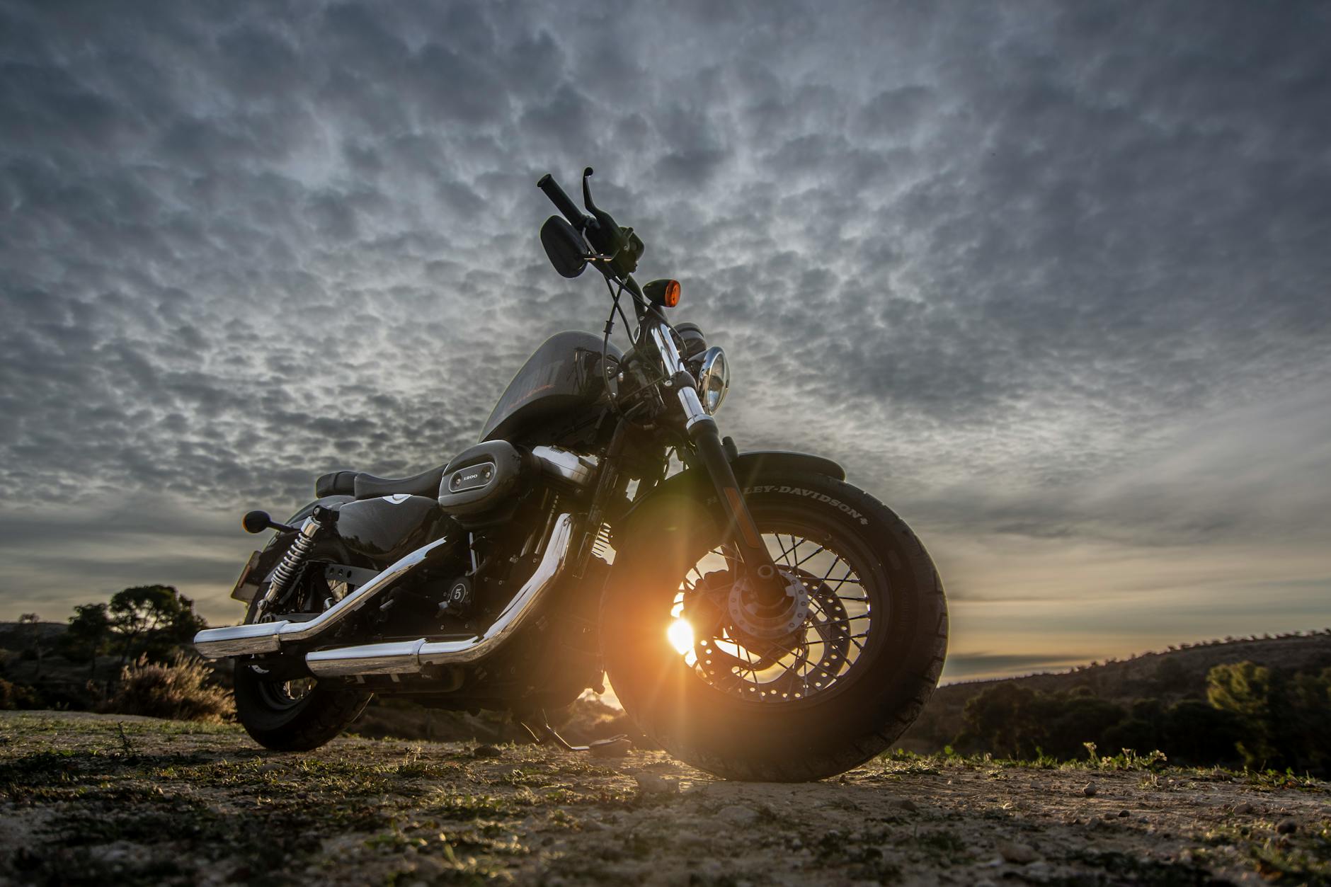 Low Angle Photo of Black Harley Davidson Forty-Eight Motorcycle