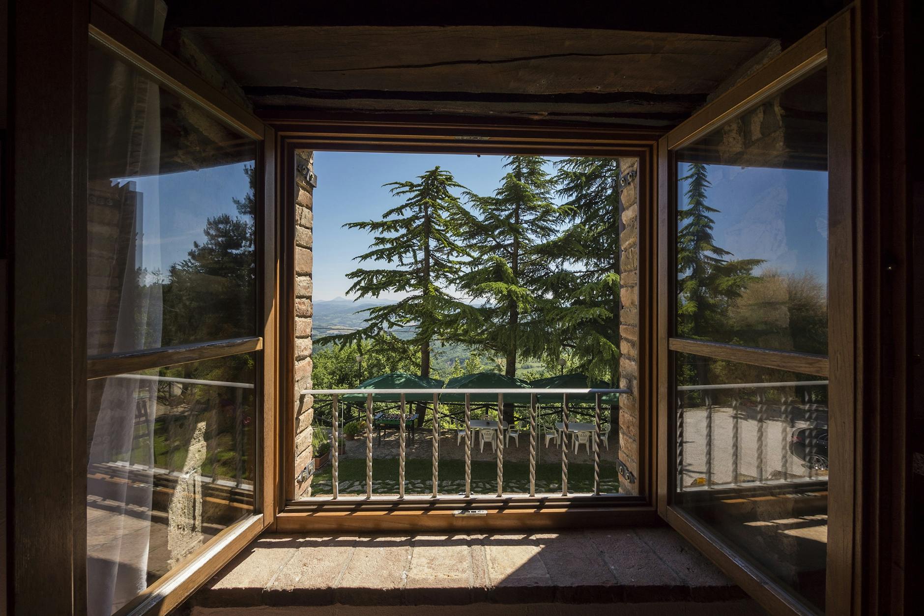 Two Pine Trees Outside House