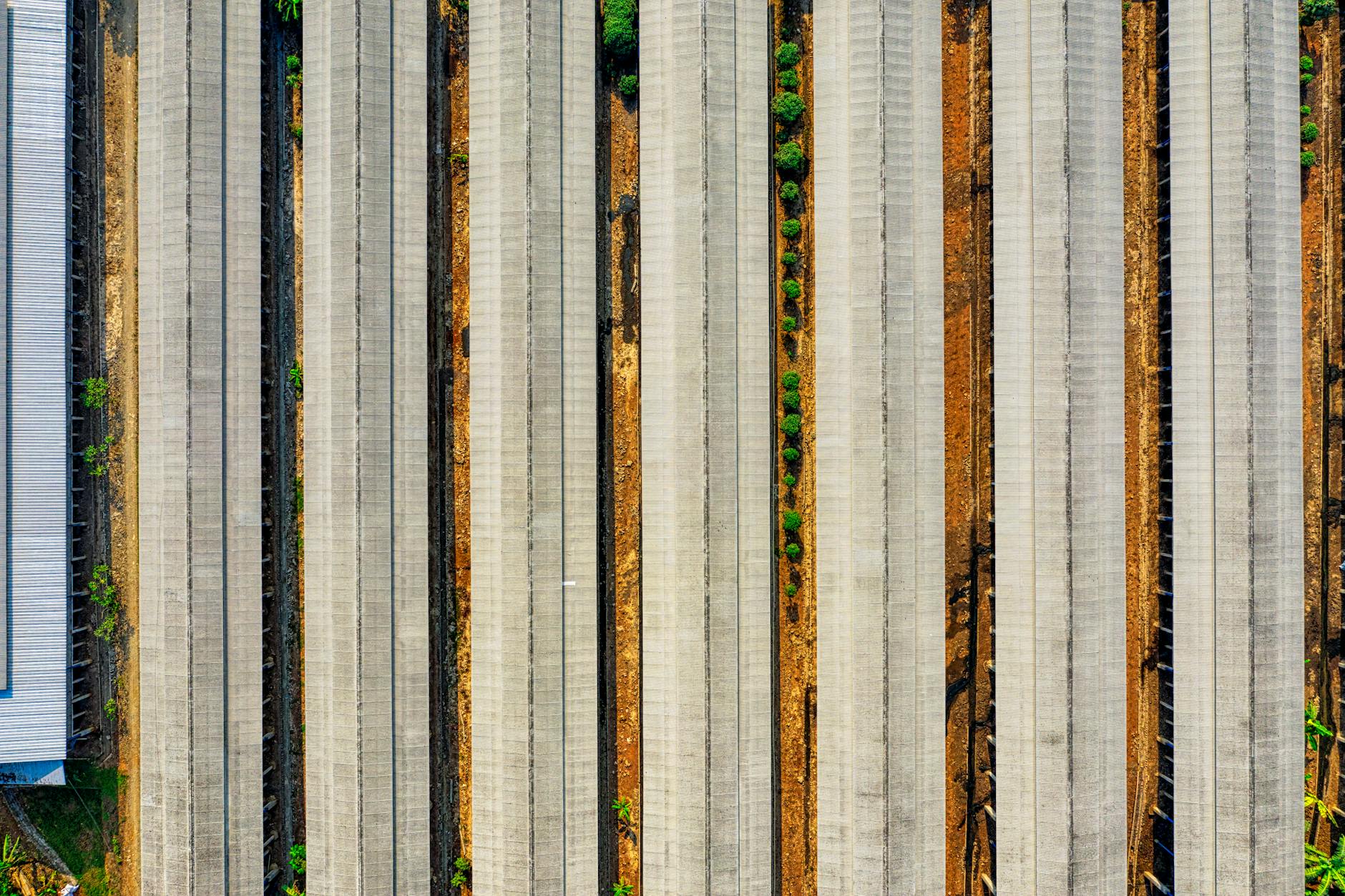 Top View Of Rows Of Roofs Of Steel Structures