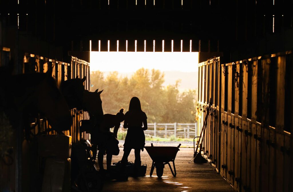 Equine Feed Business Name Suggestion [2024 Update]