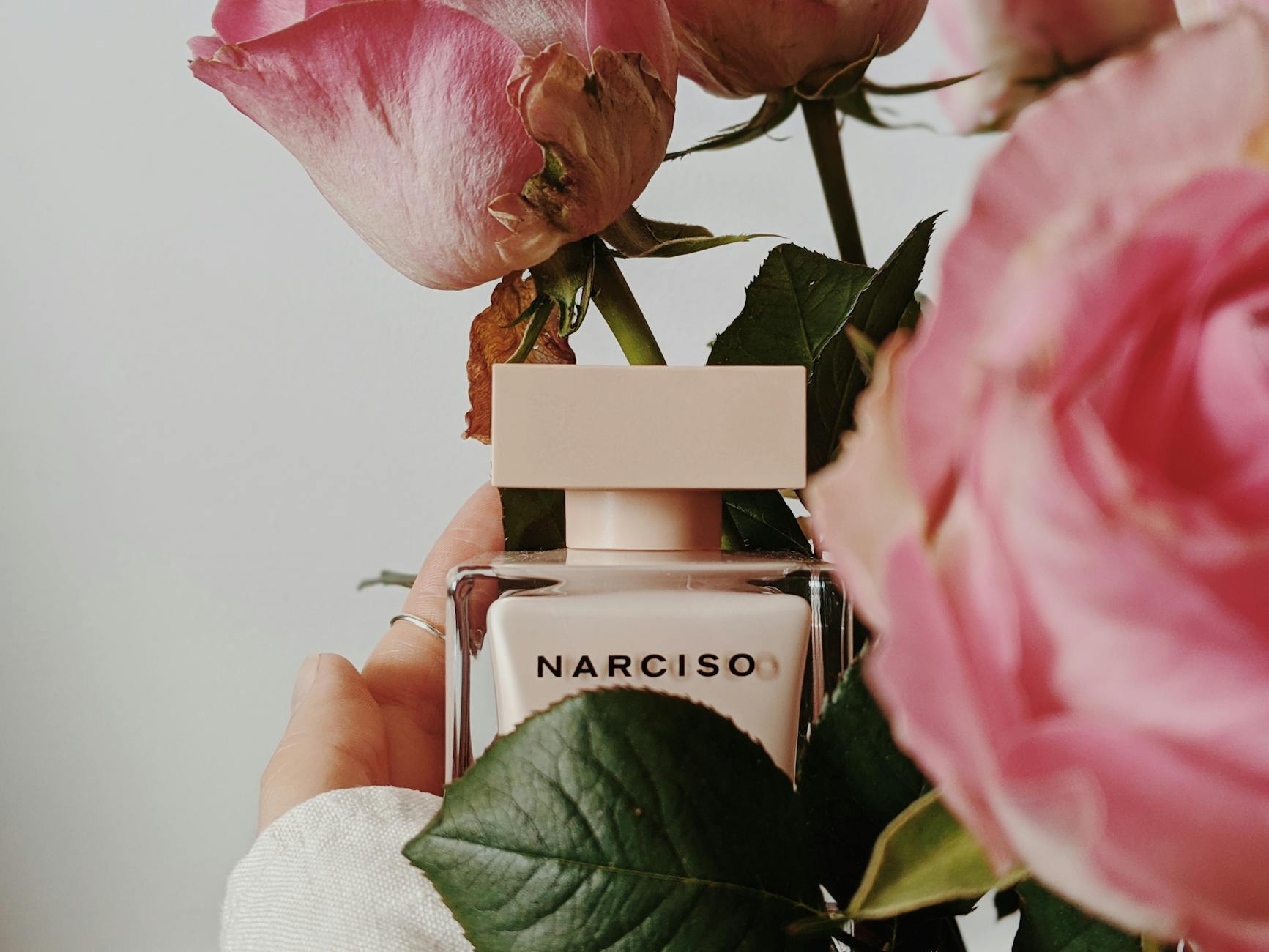 Person Holding Pink Rose Flowers and Perfume Bottle