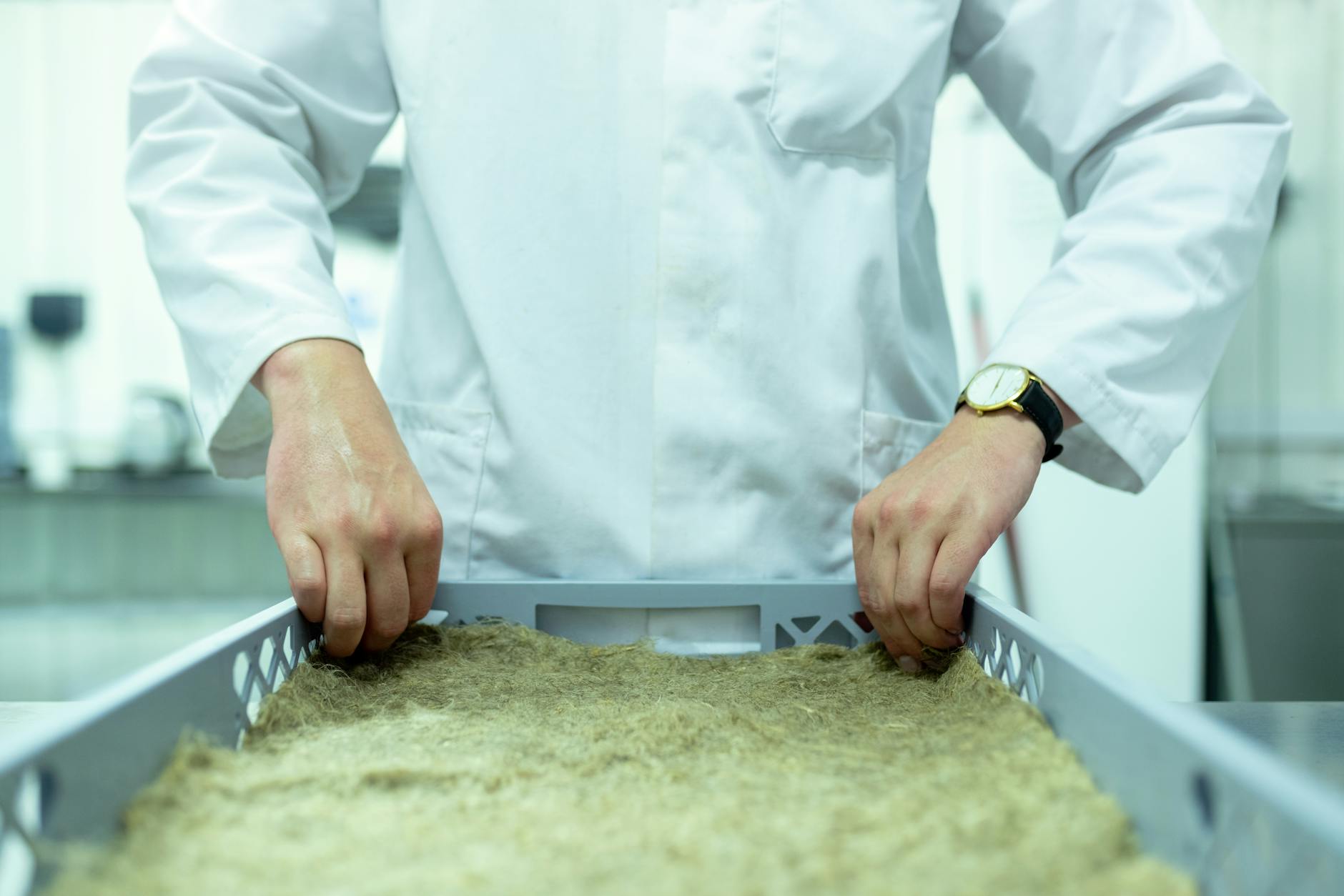 Scientist Checking Crops in Laboratory