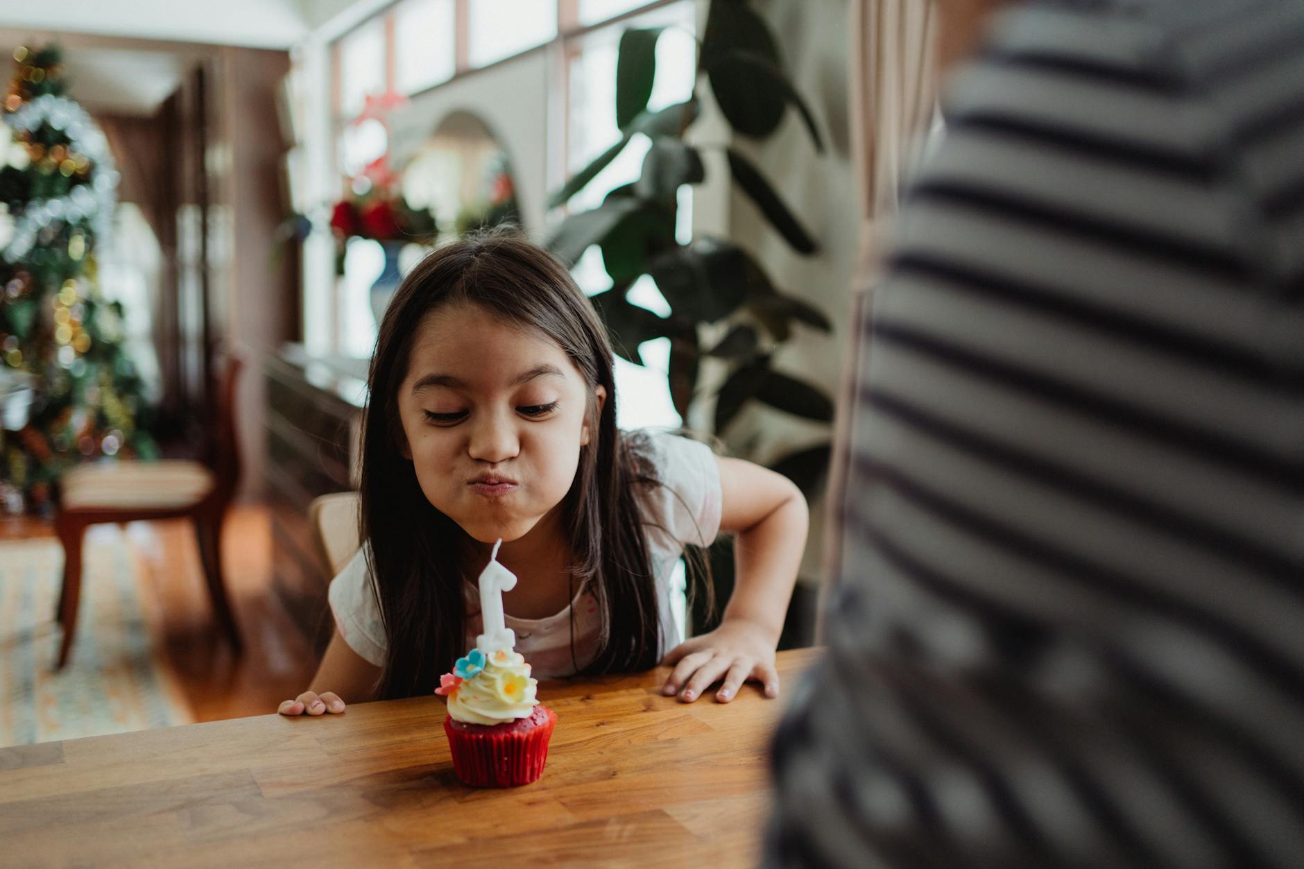 Cupcakes with sprinkles and icing