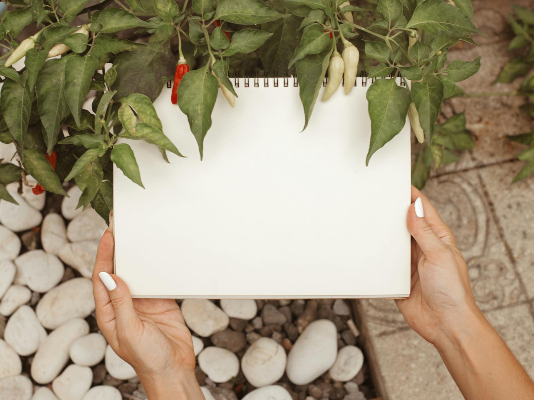 A Person Holding a Blank Notebook With Green Leaves