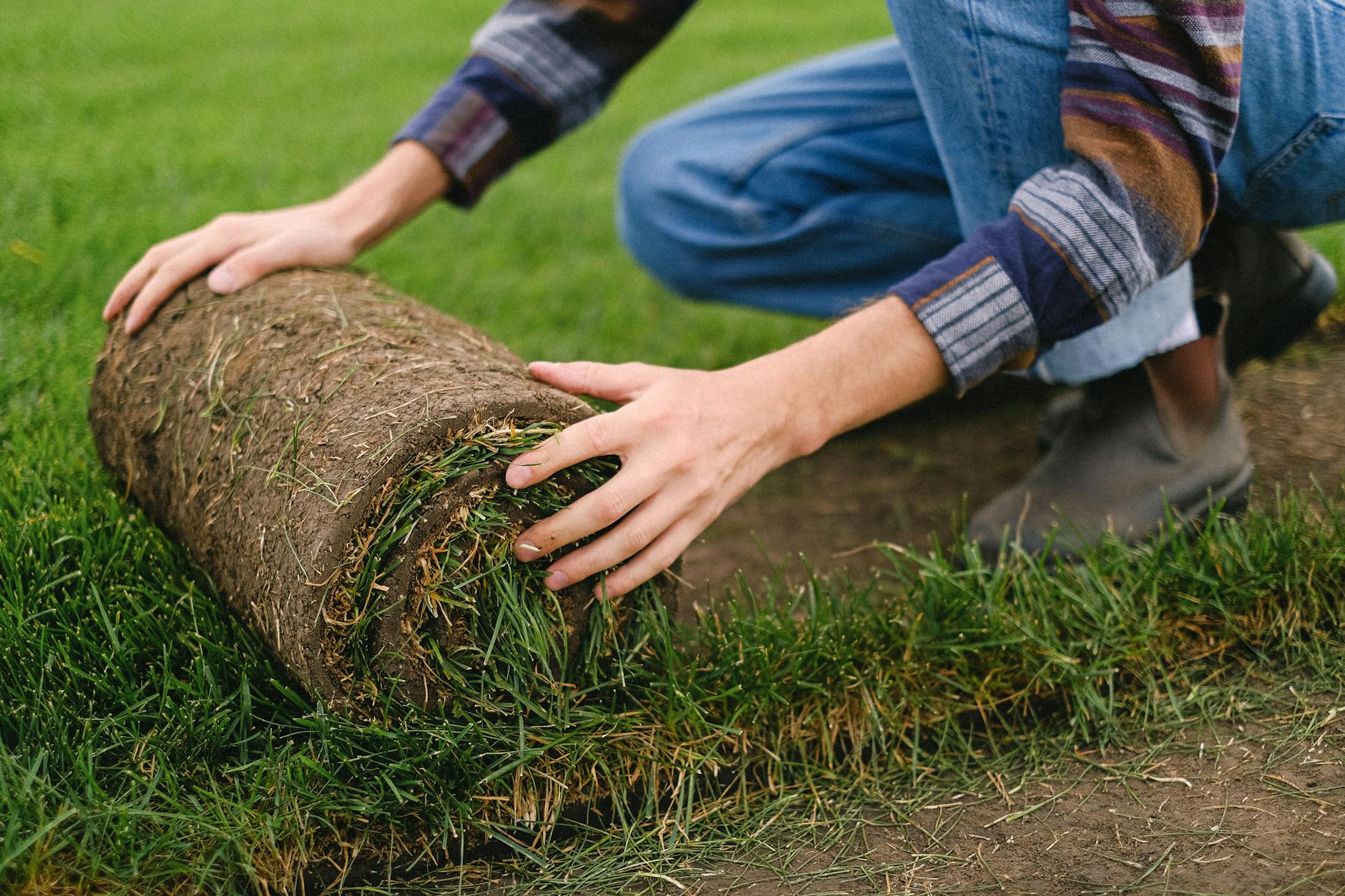 Installation of sod