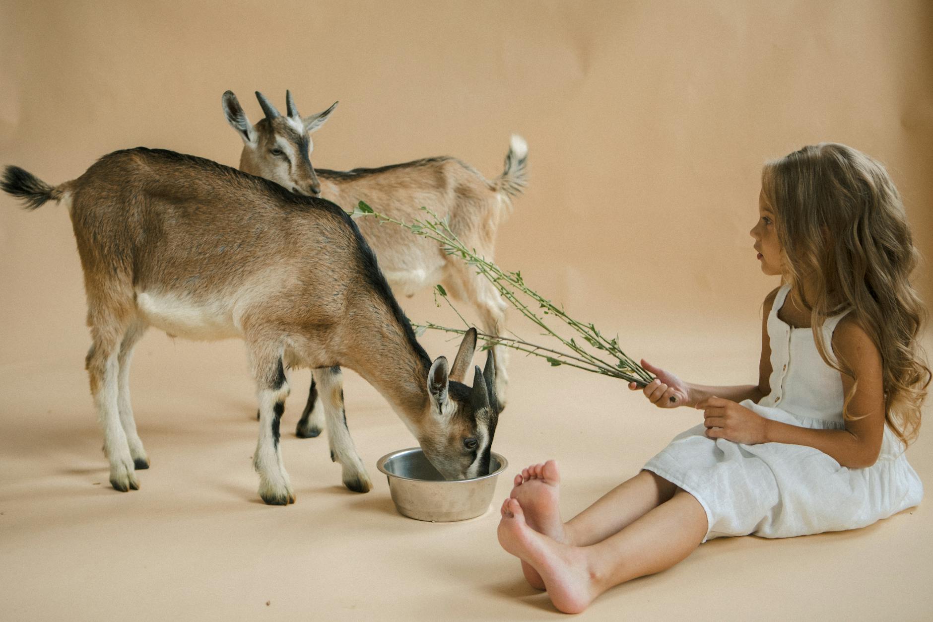 Girl Sitting with Goats