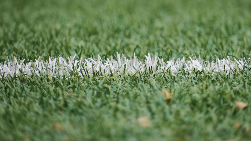 Synthetic Turf Installation App Name Ideas