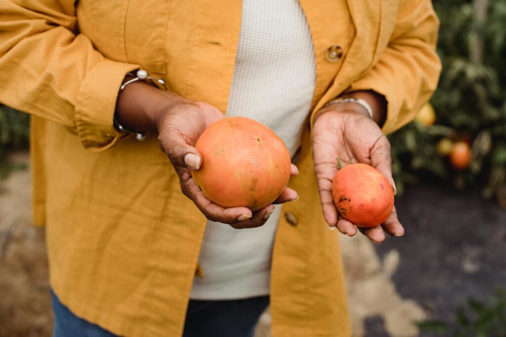 Greenhouse Vegetable Business Ideas to Start in 2024