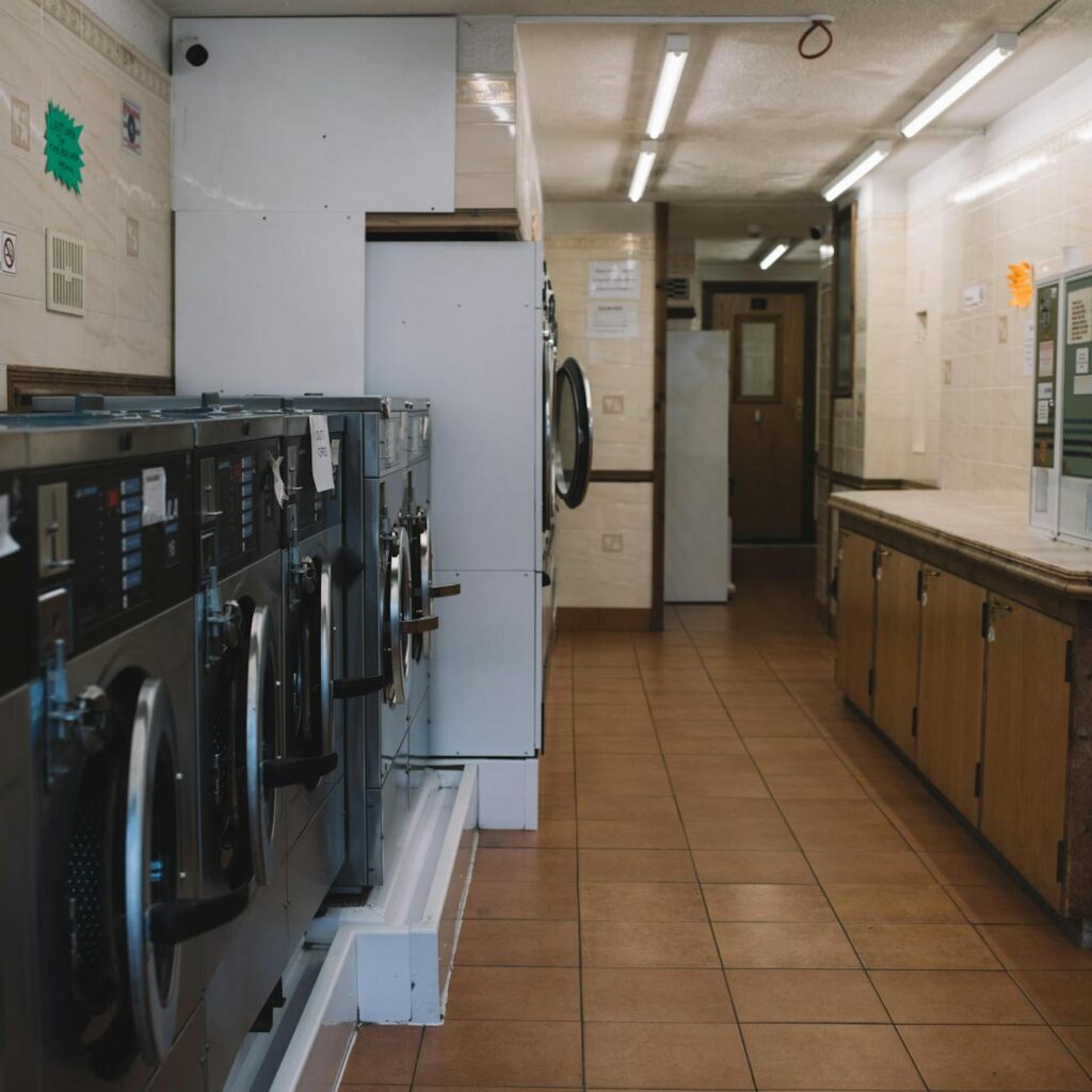 Environmental Cleaning Business Ideas to Start in 2024