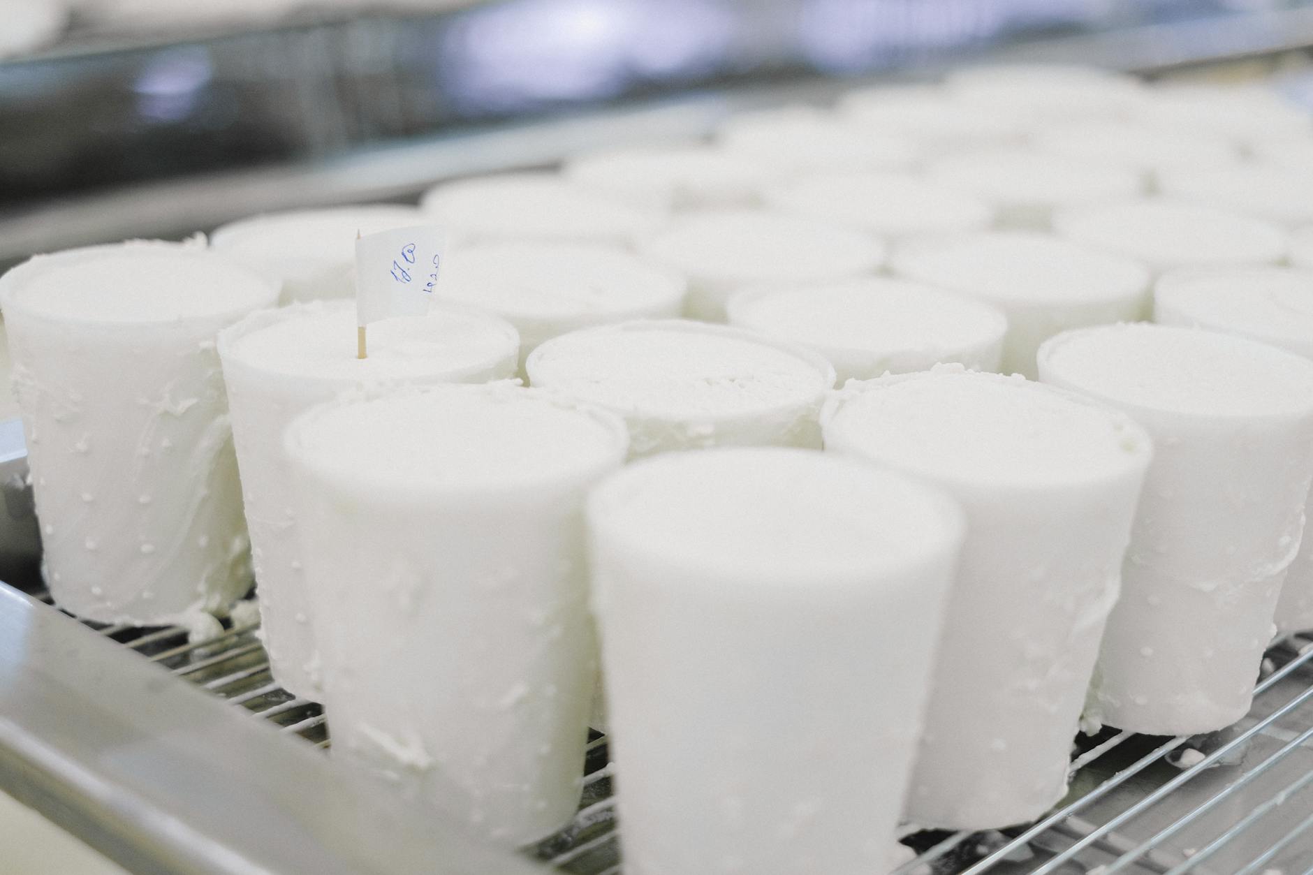 Production of Dairy Products in a Plant