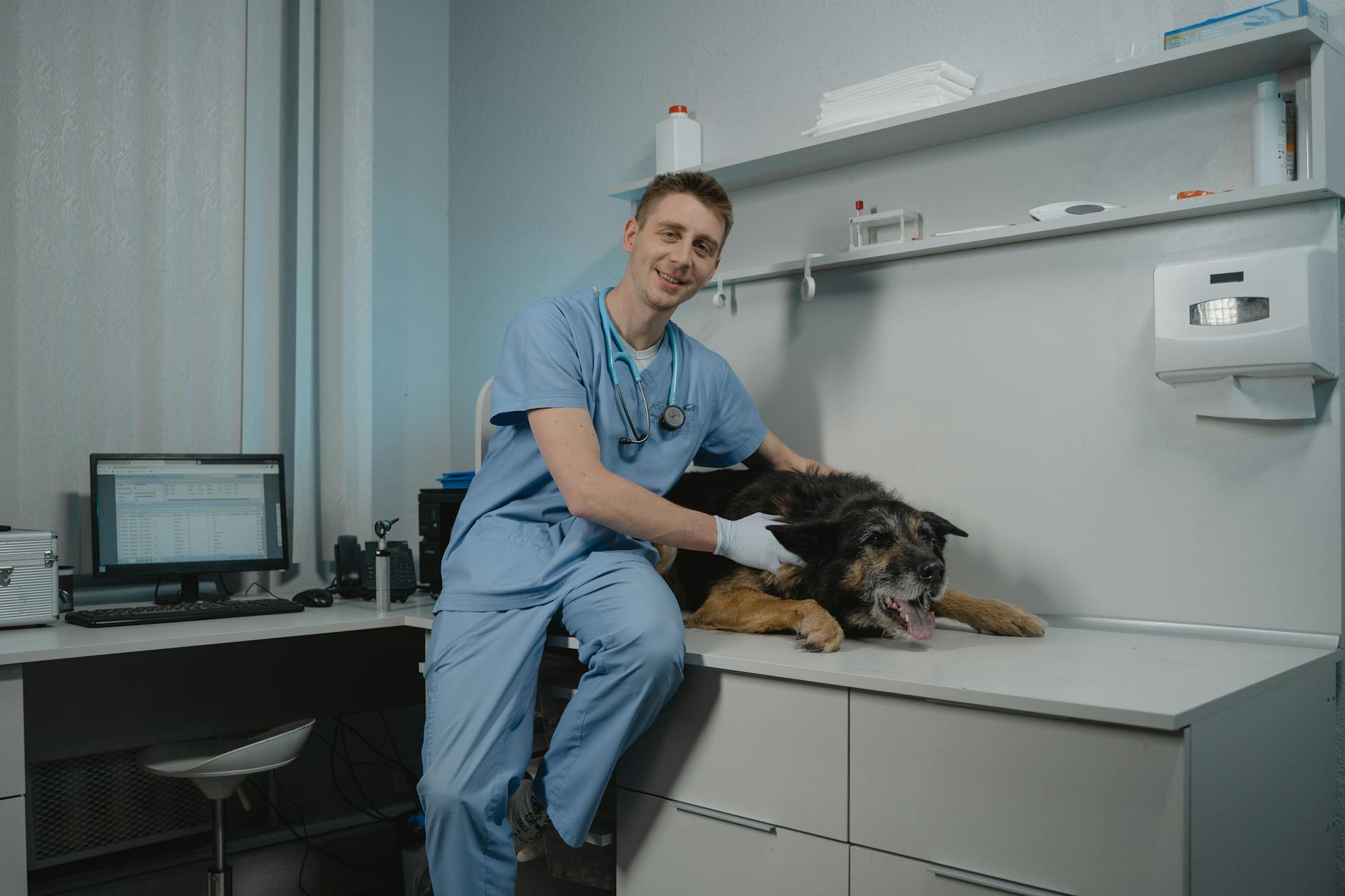 A Veterinarian Sitting Beside a Black Dog Lying on the Table